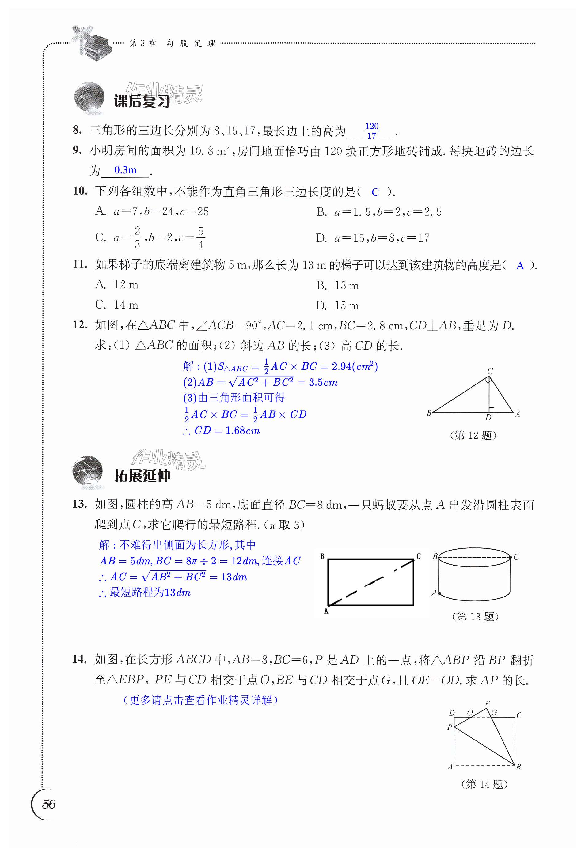 第56頁