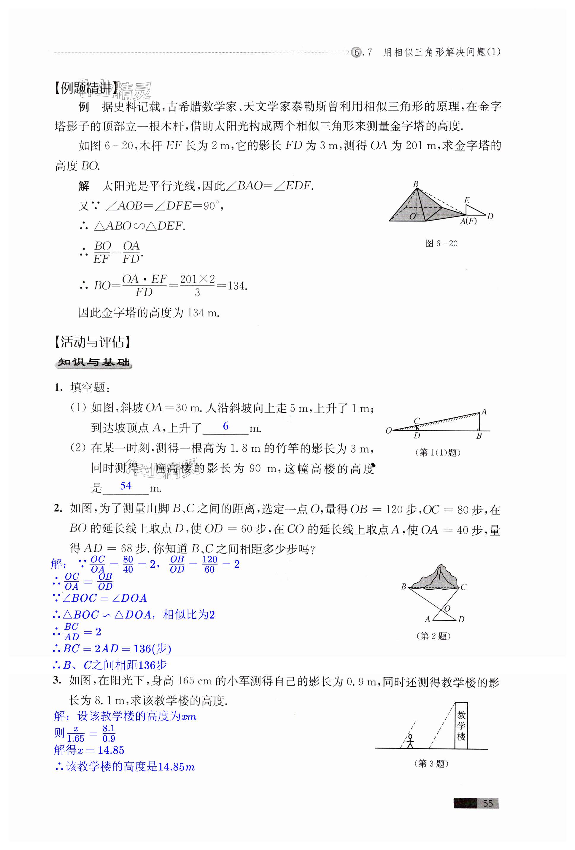 第55頁