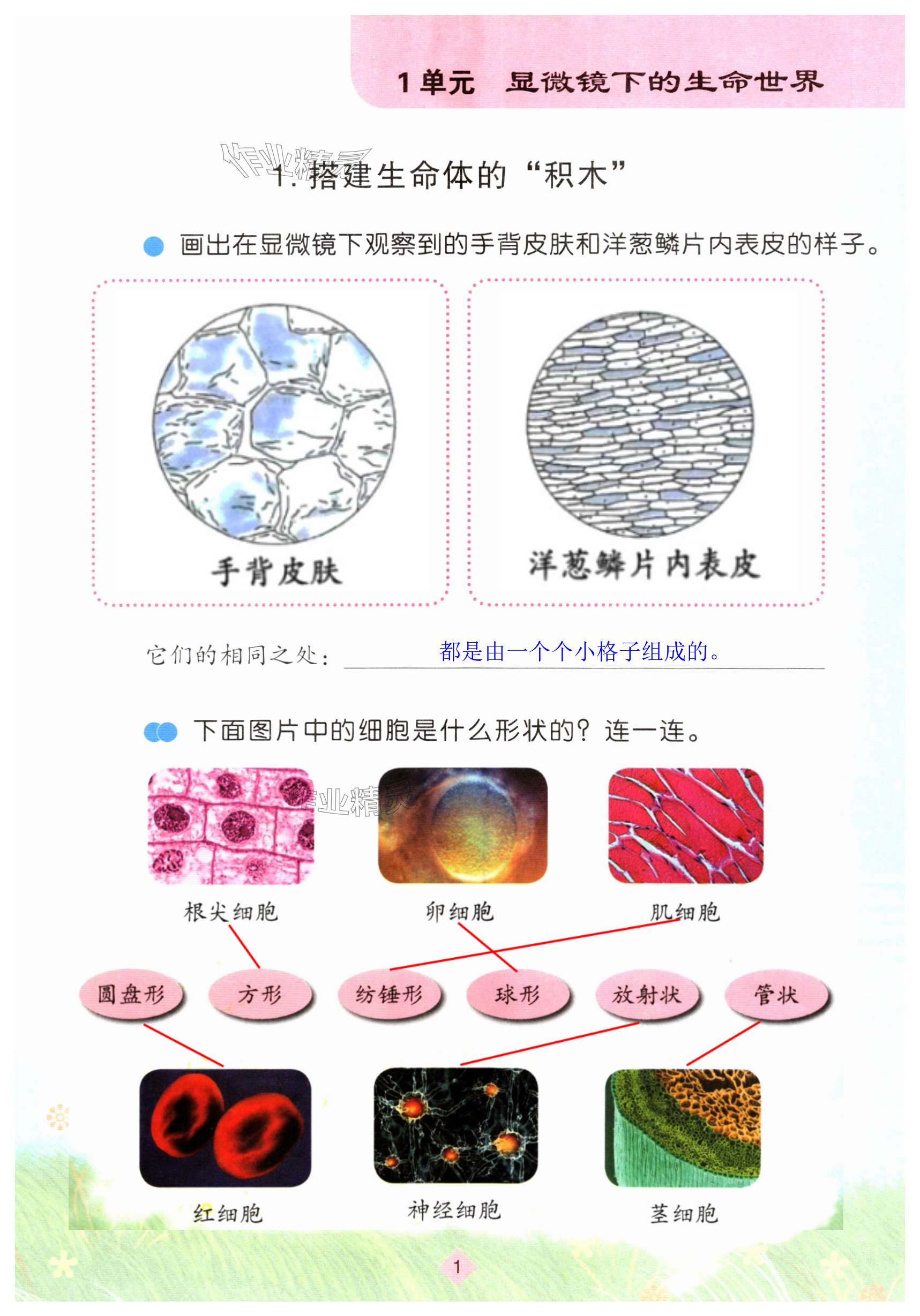 2025年學生活動手冊江蘇鳳凰教育出版社五年級科學下冊蘇教版 第1頁