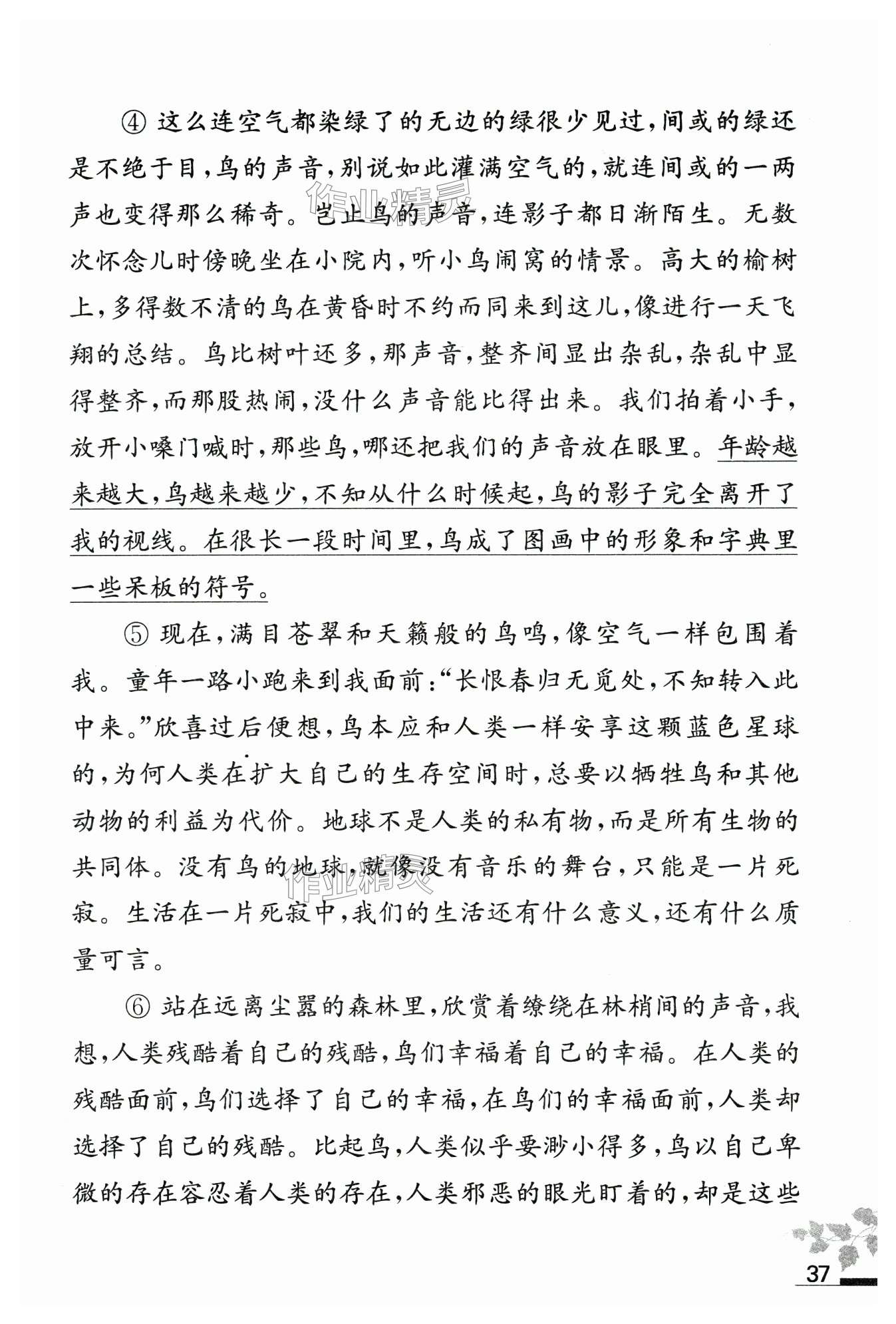 第37页