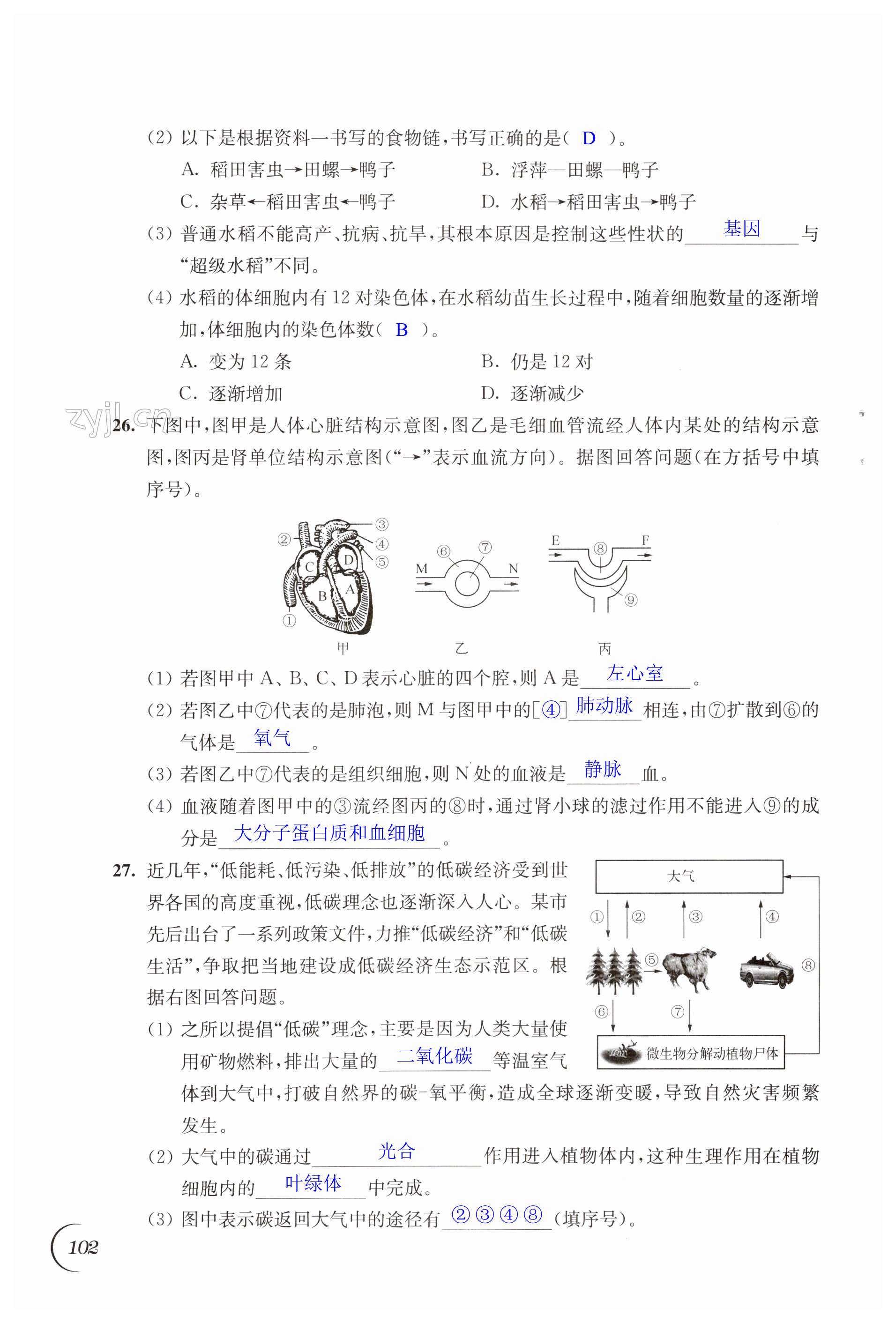 第102頁(yè)