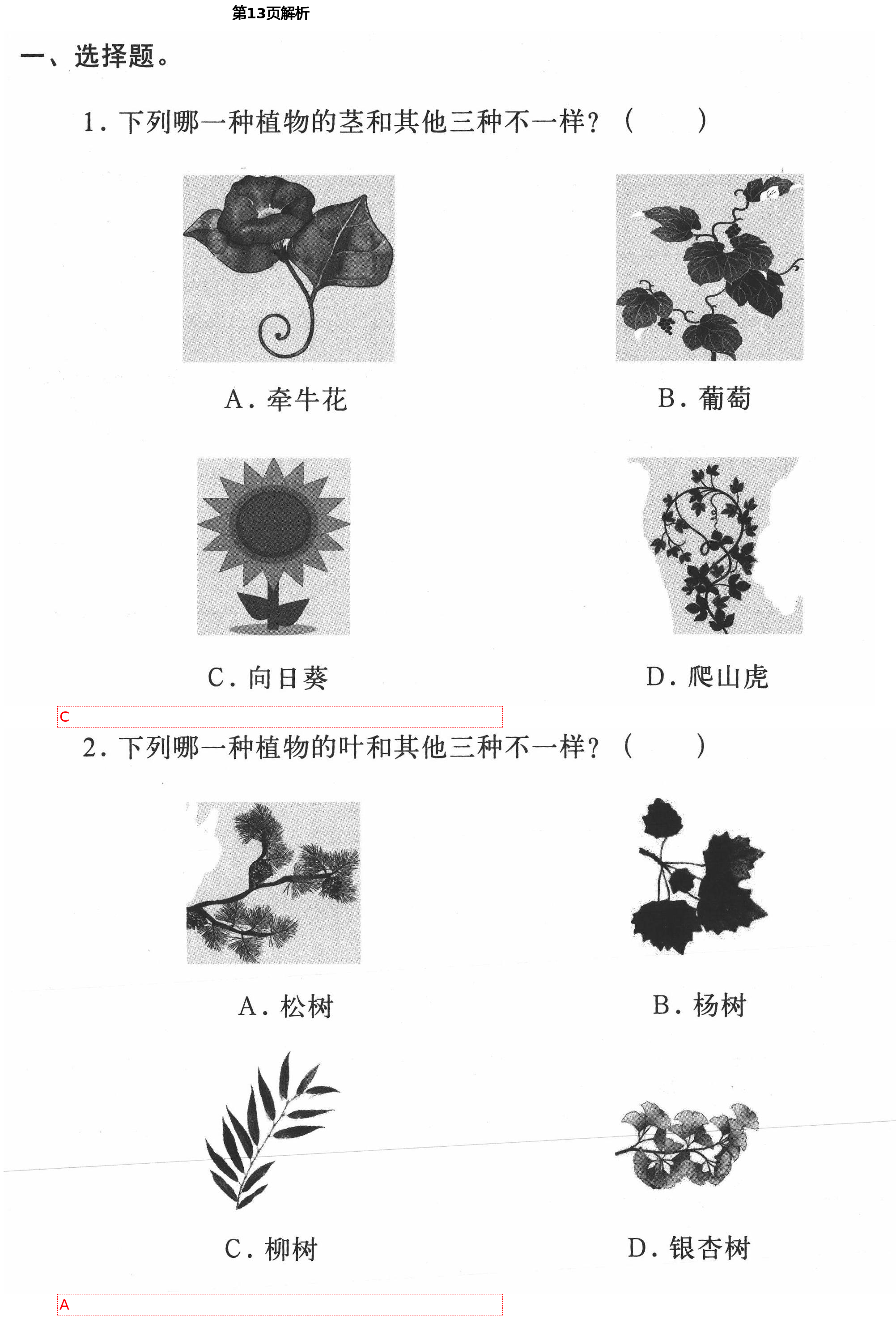 2021年新思维伴你学单元达标测试卷四年级科学下册教科版 第13页