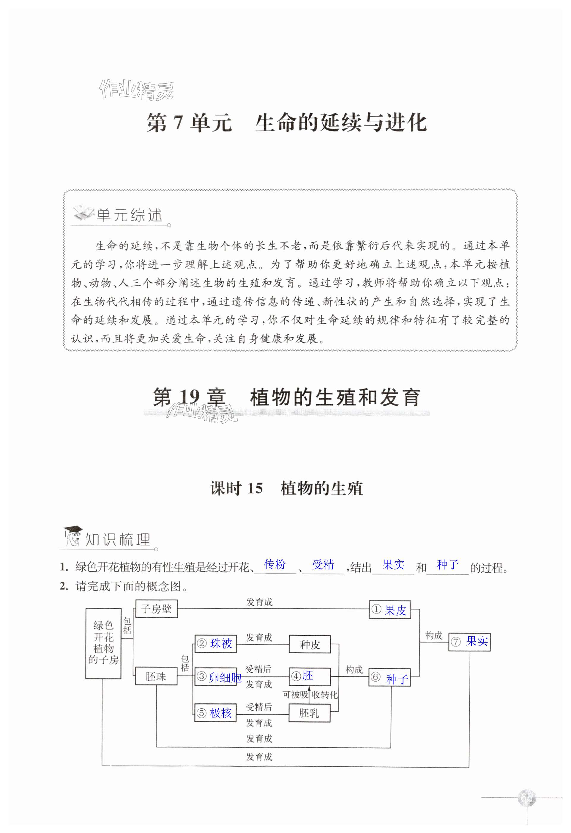 第65頁