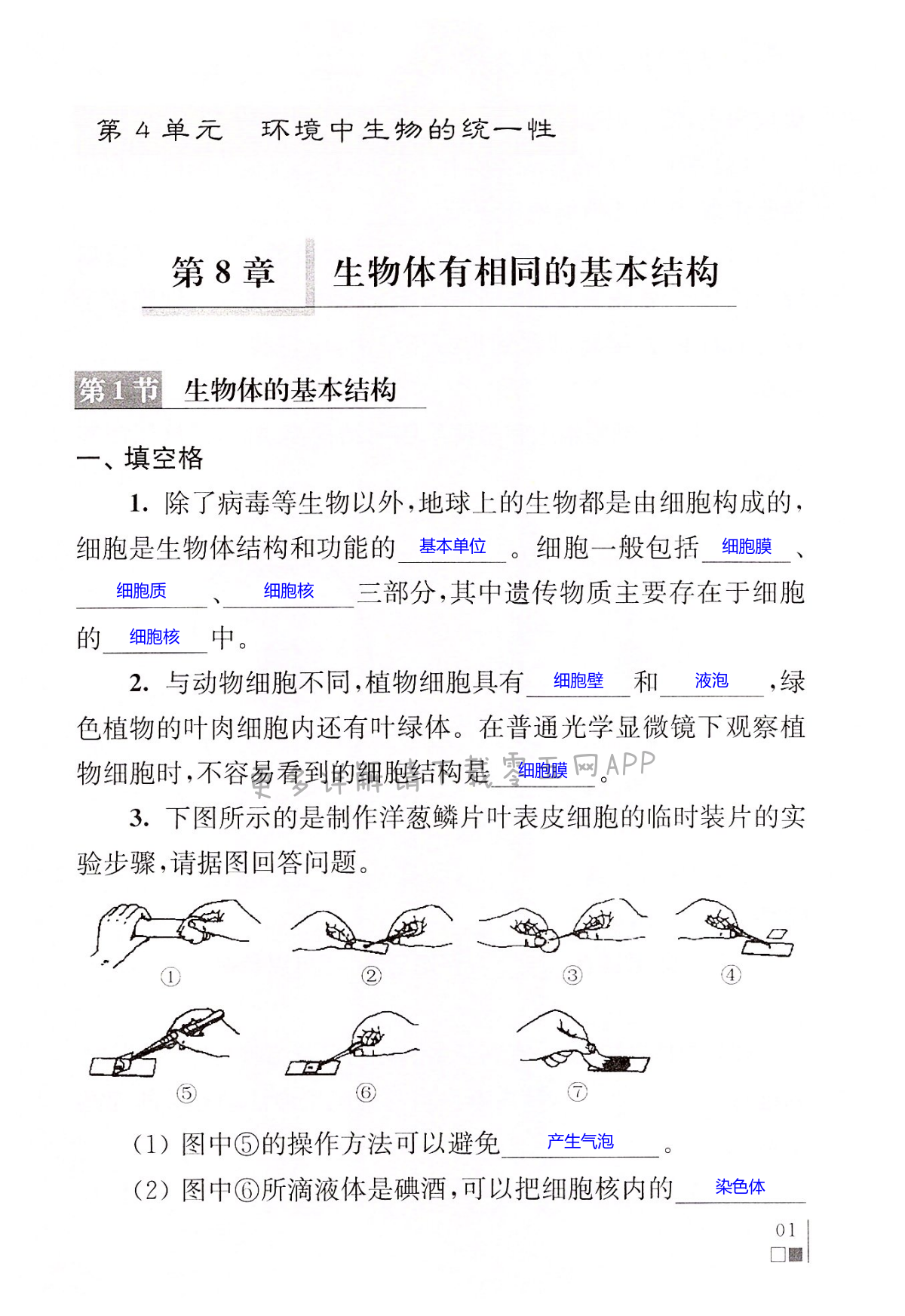 2022年補充習題七年級生物下冊蘇科版 第1頁