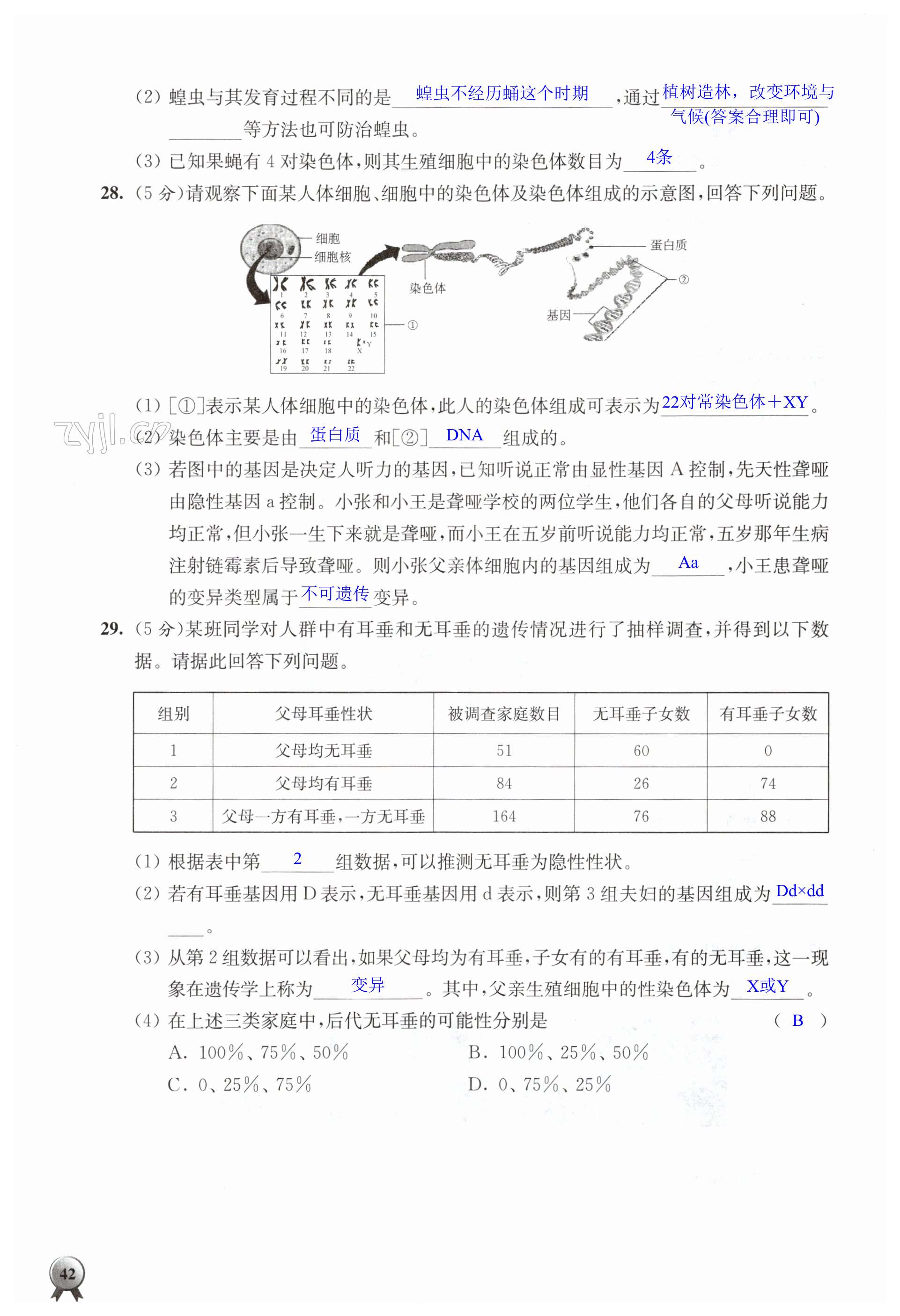 第42頁(yè)