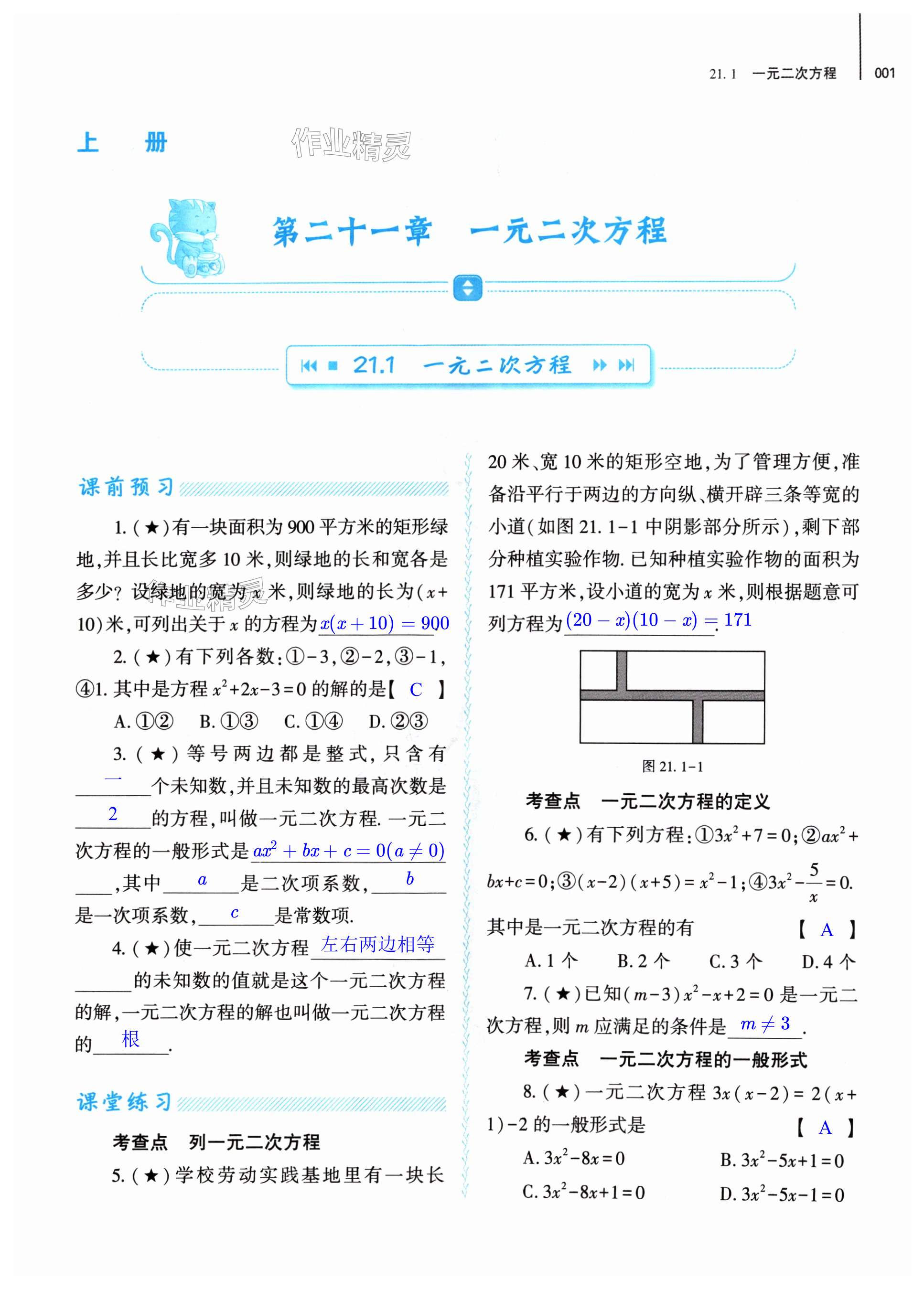 2024年基础训练大象出版社九年级数学全一册人教版 第1页