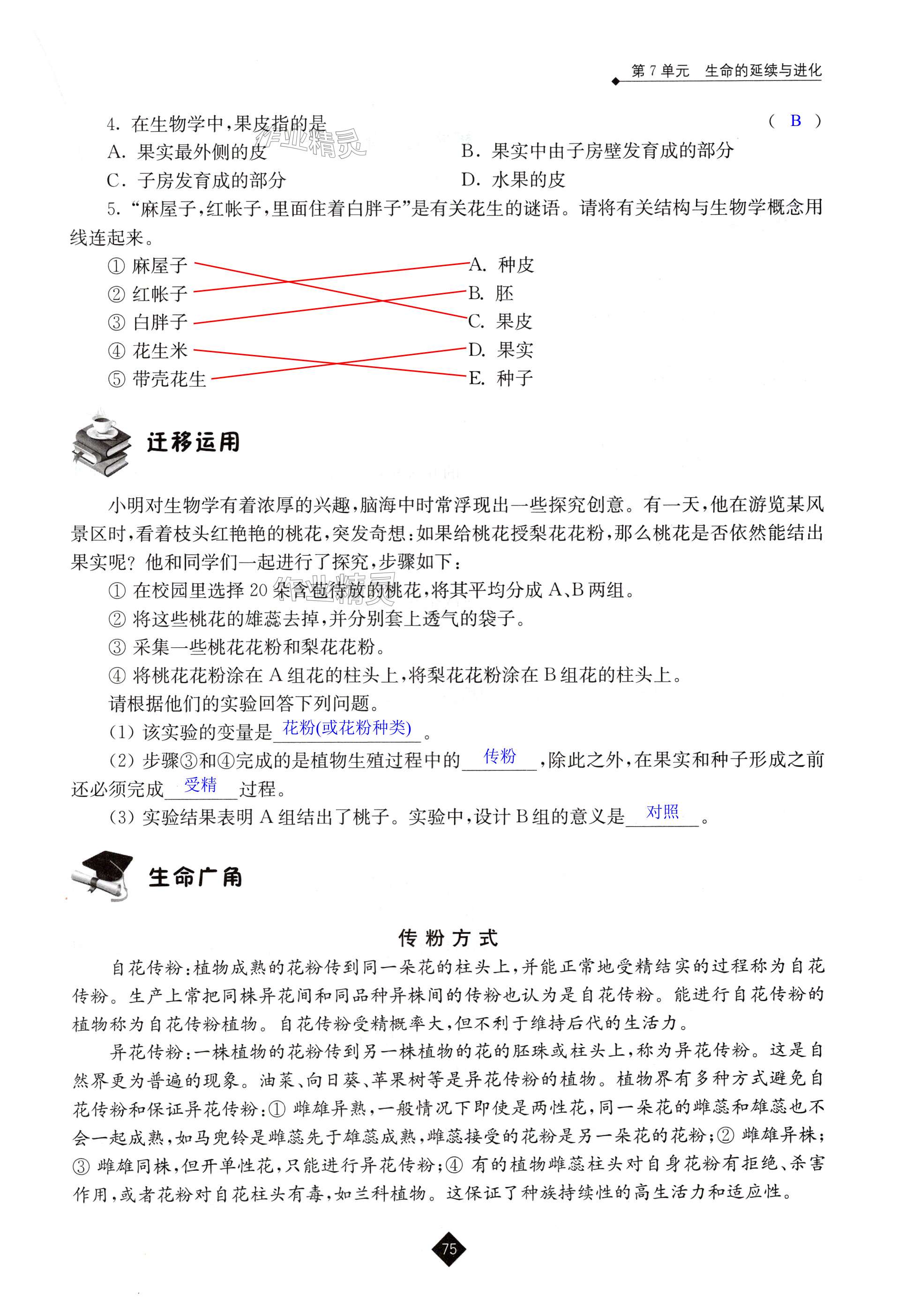 第75頁