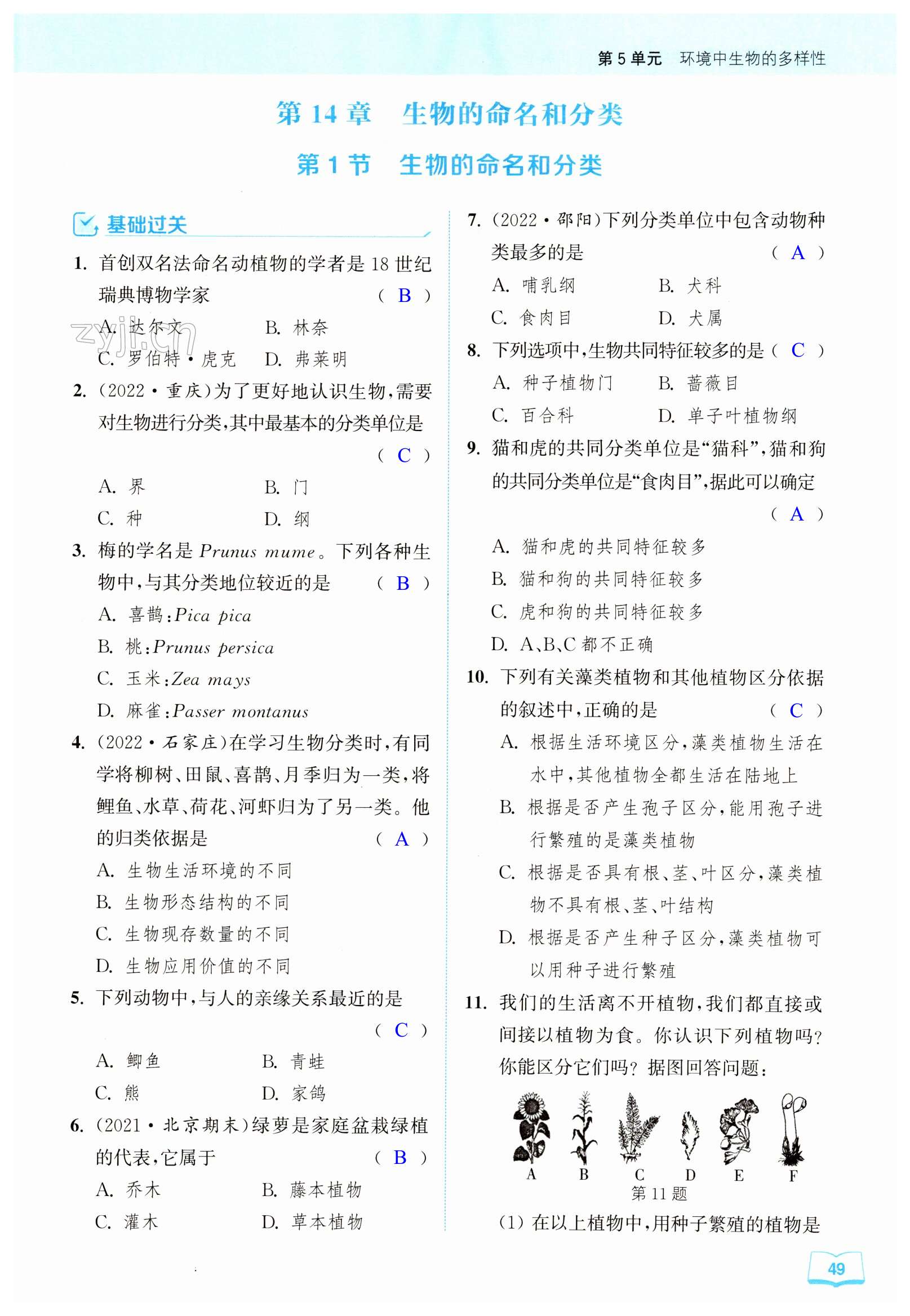 第49页