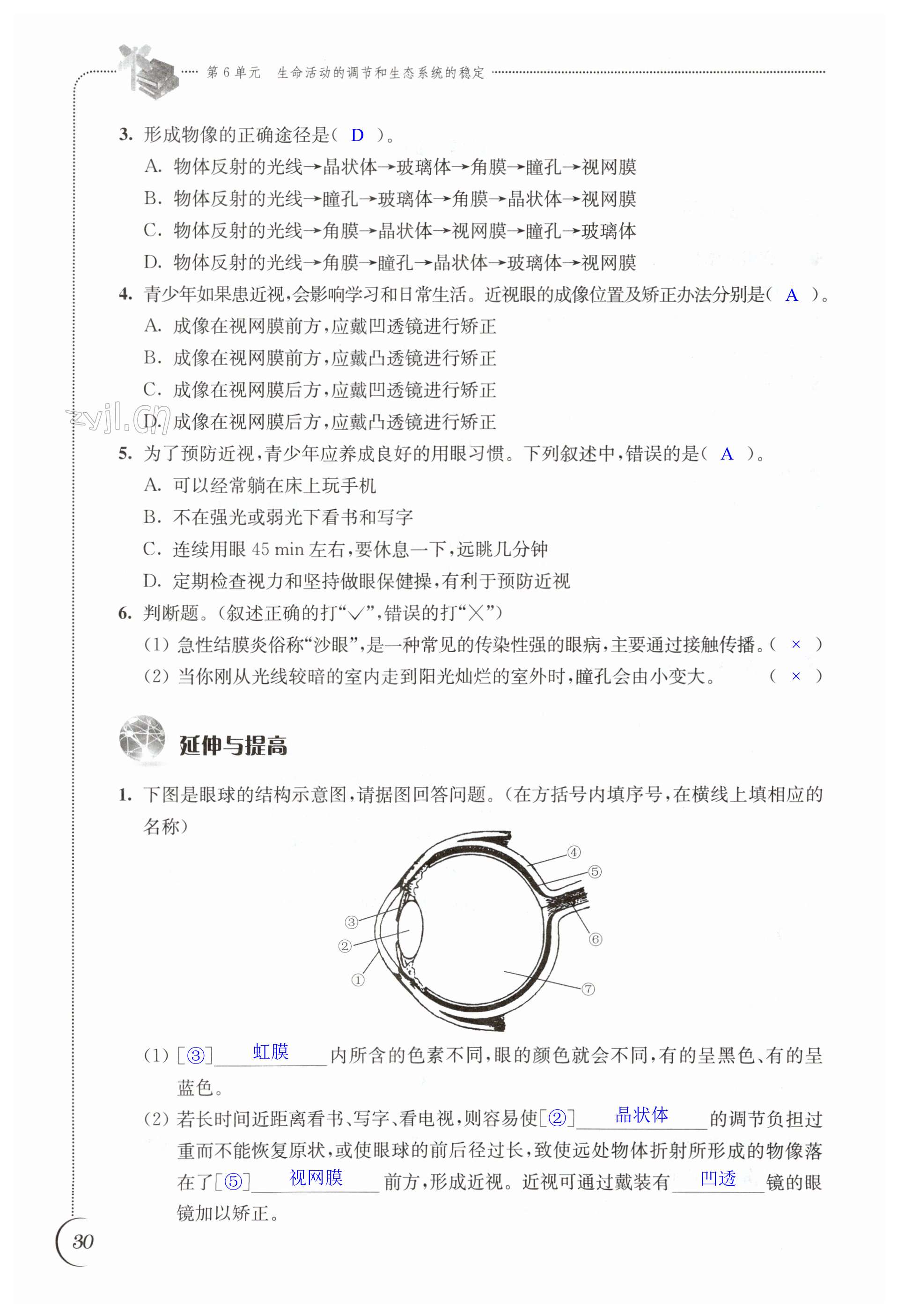 第30页