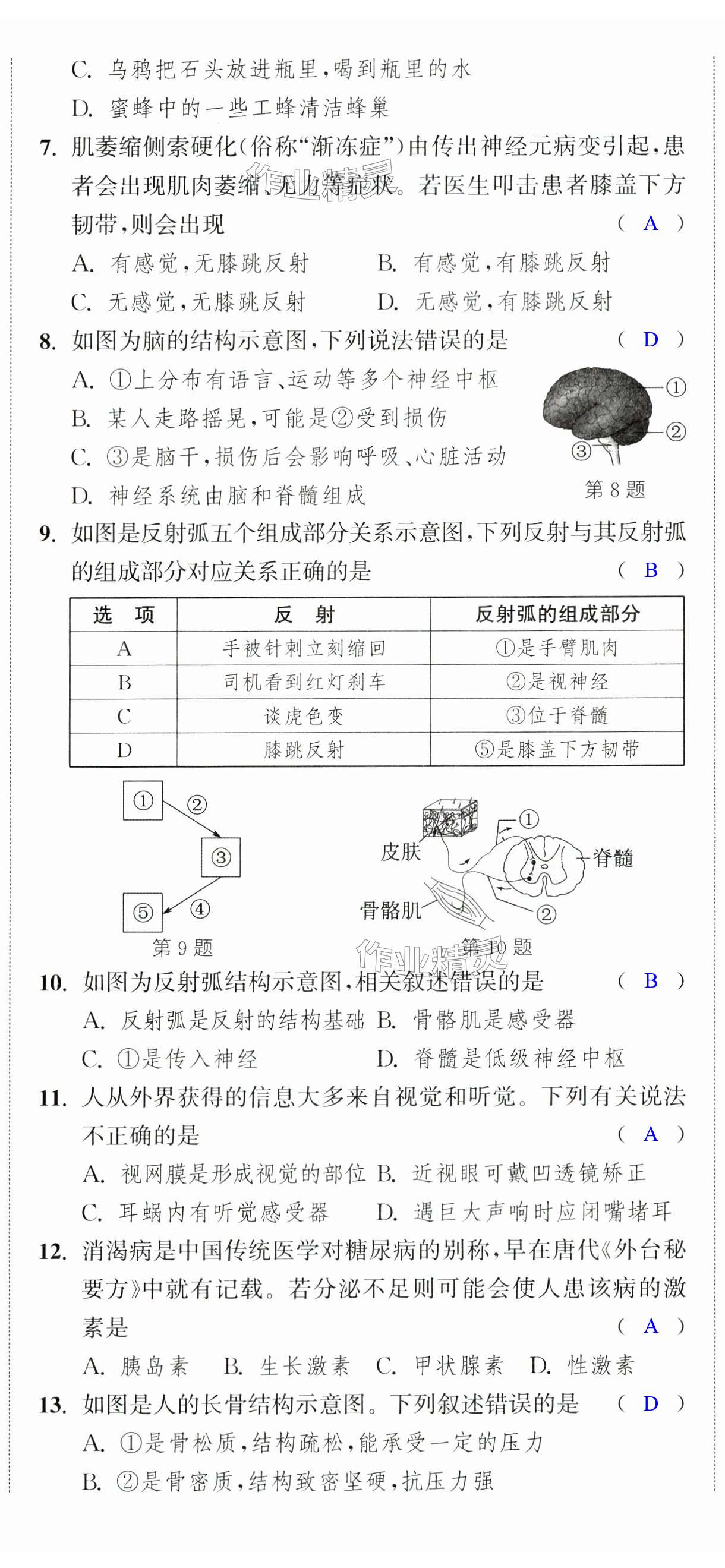 第32頁(yè)