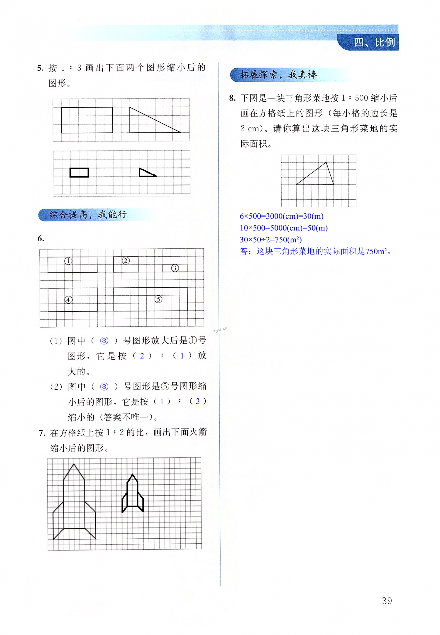 第39頁(yè)