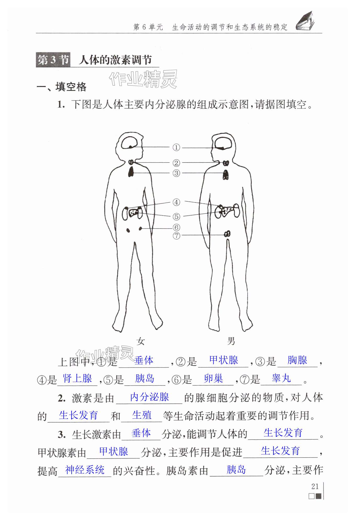 第21頁