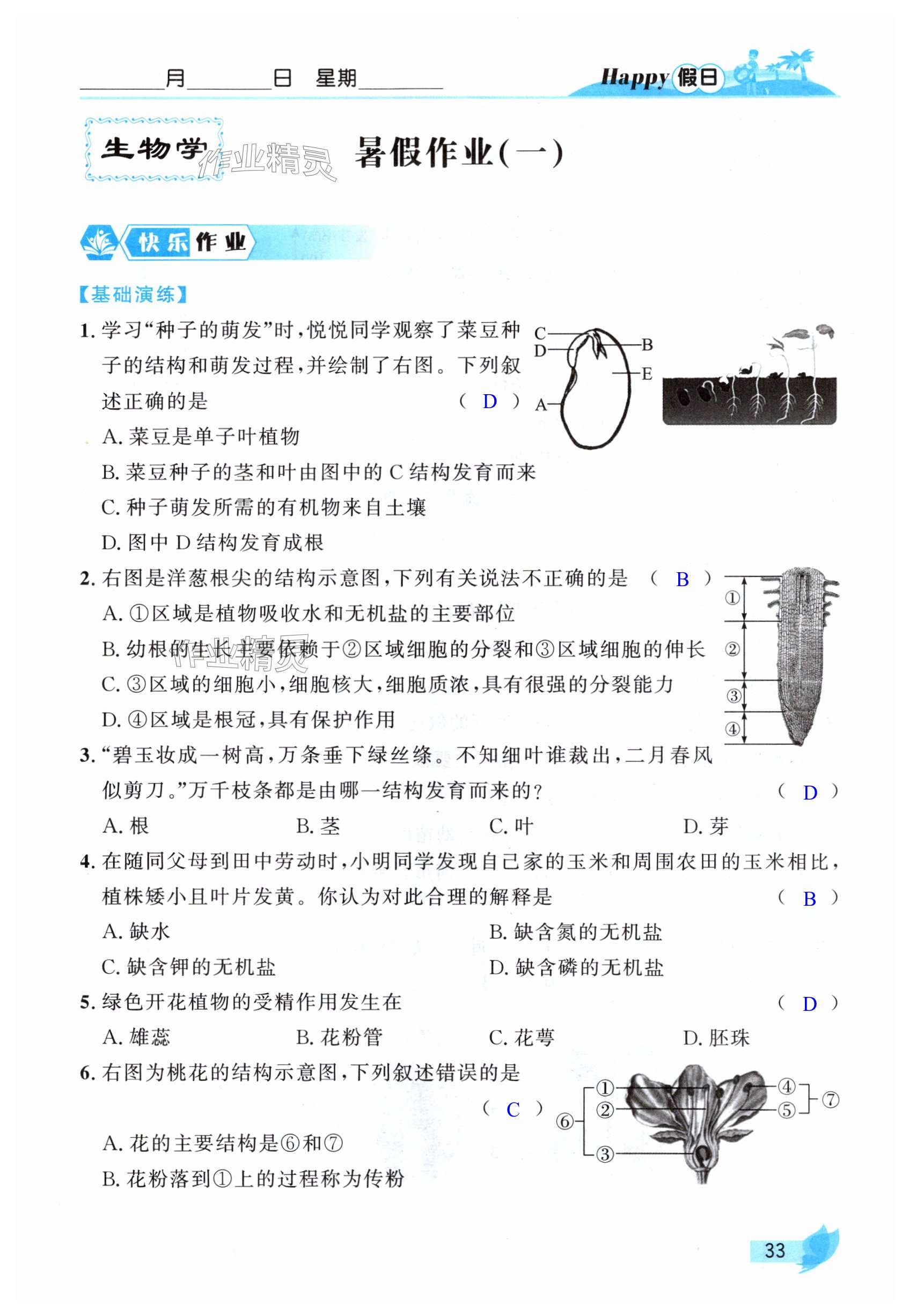 2025年暑假Happy假日七年級(jí)綜合人教版 第33頁(yè)
