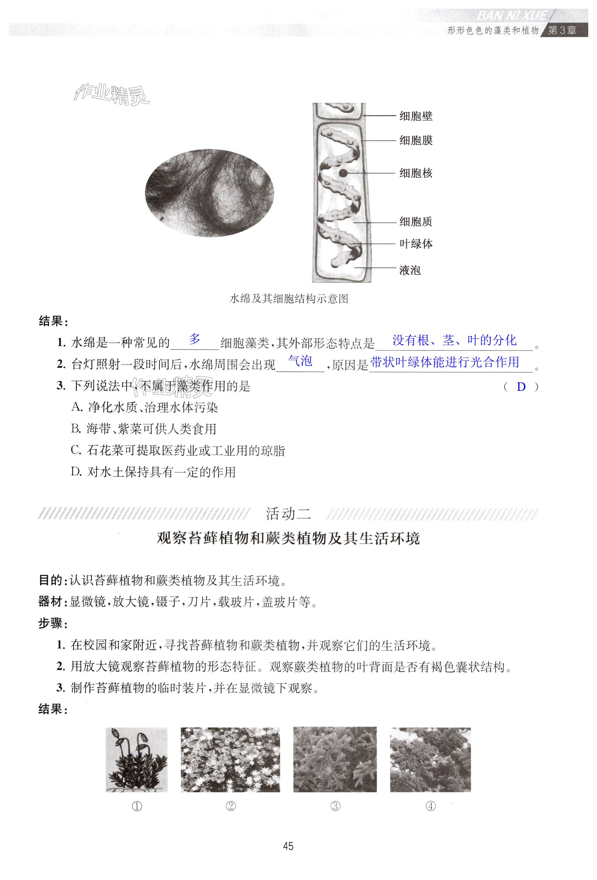 第45頁