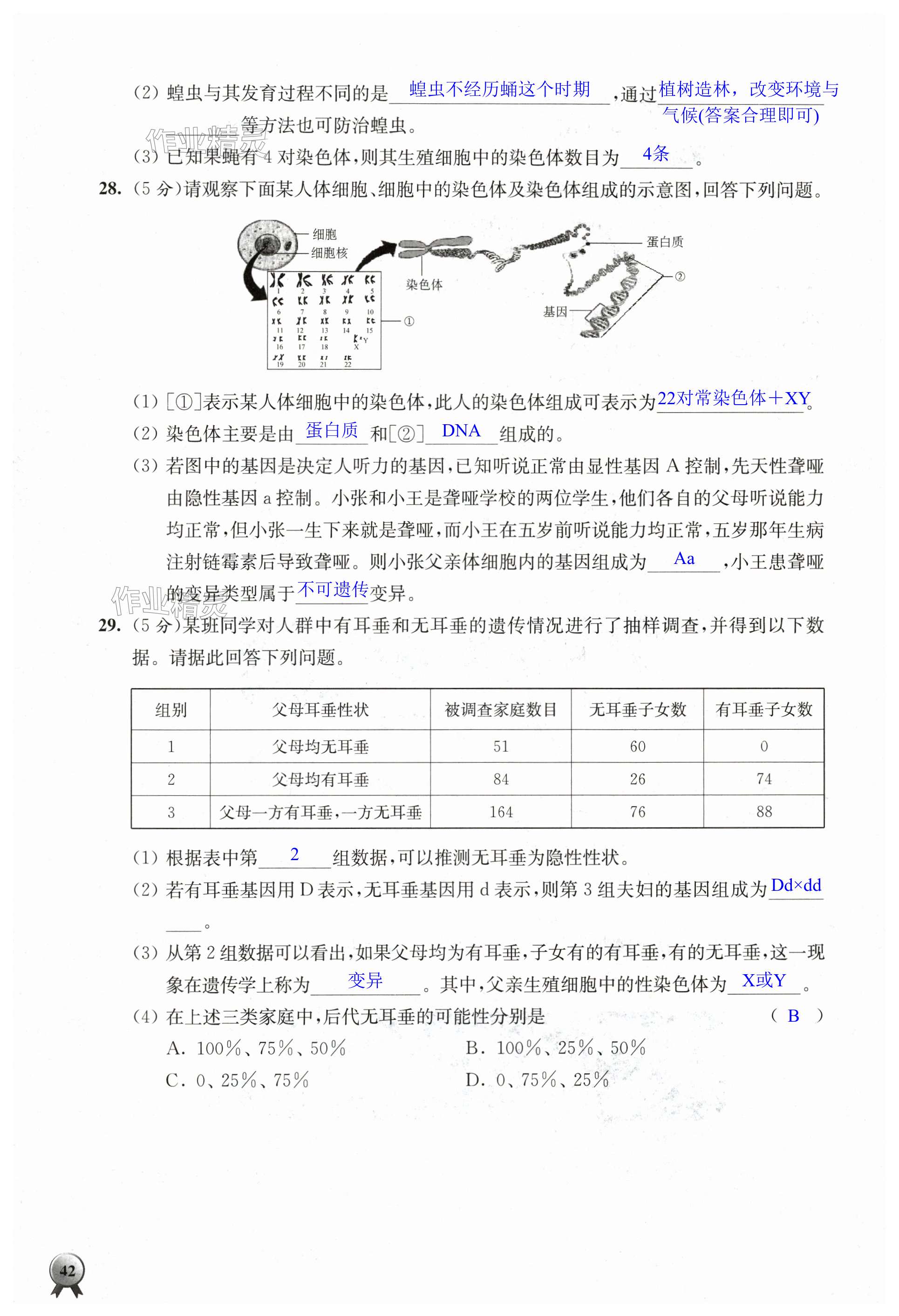 第42頁