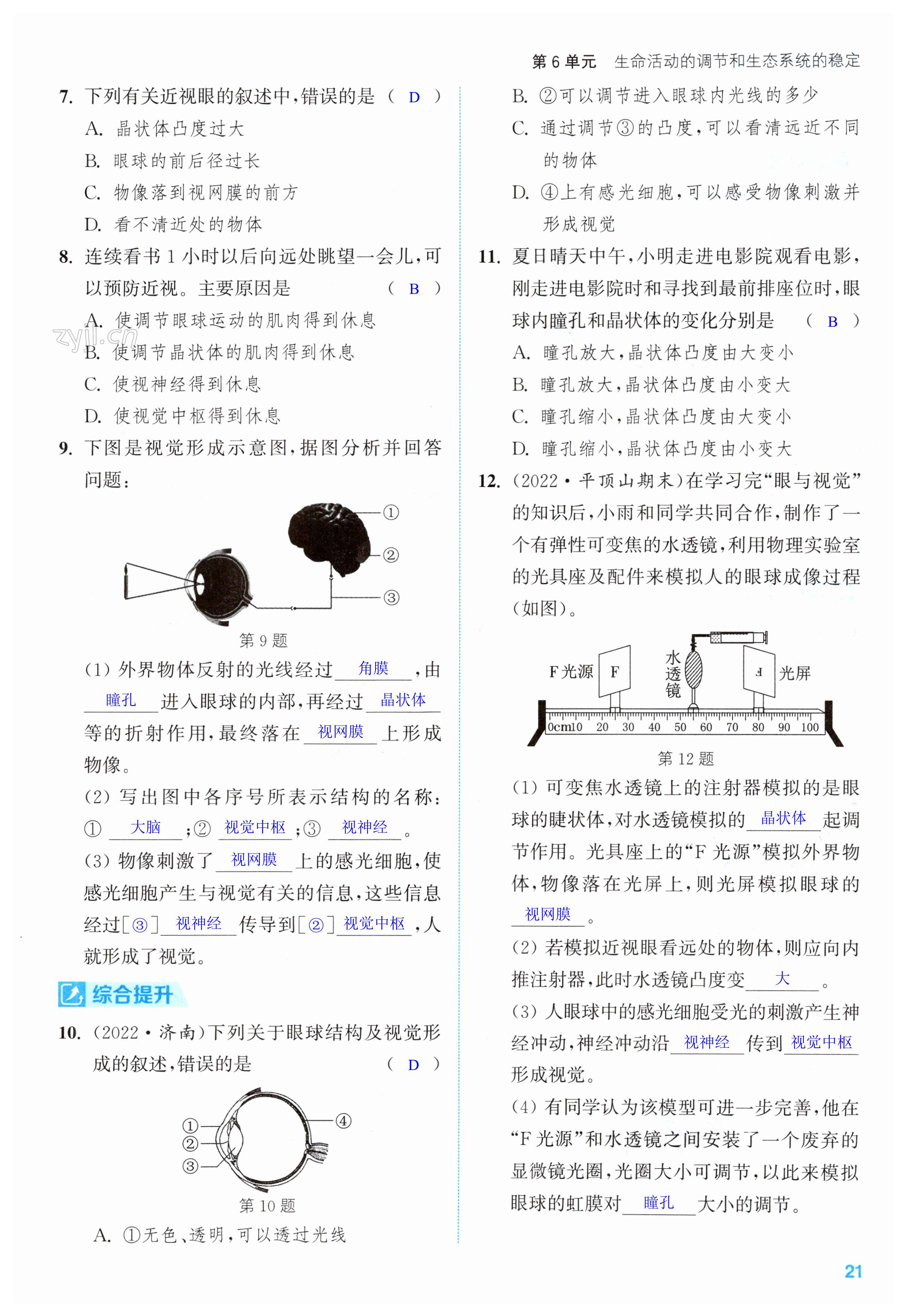 第21頁(yè)