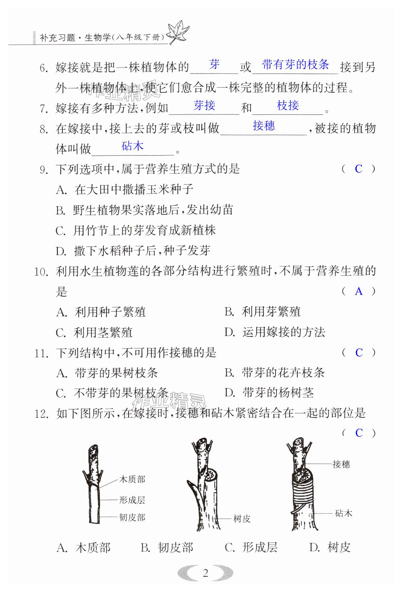 第2頁(yè)