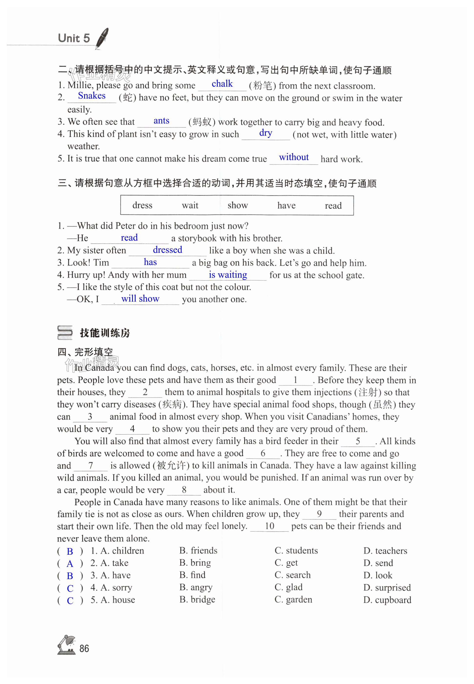 第86页