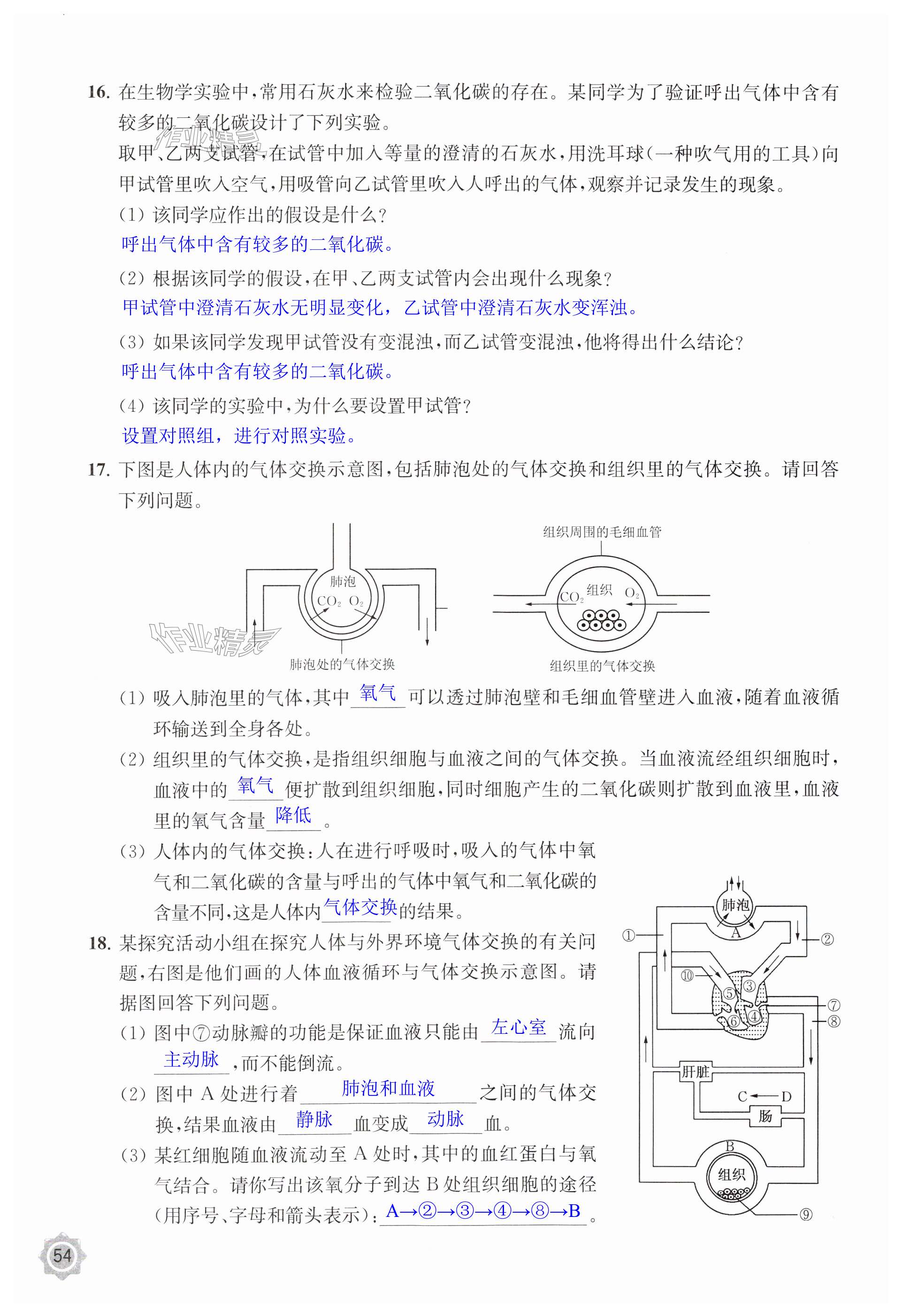 第54頁