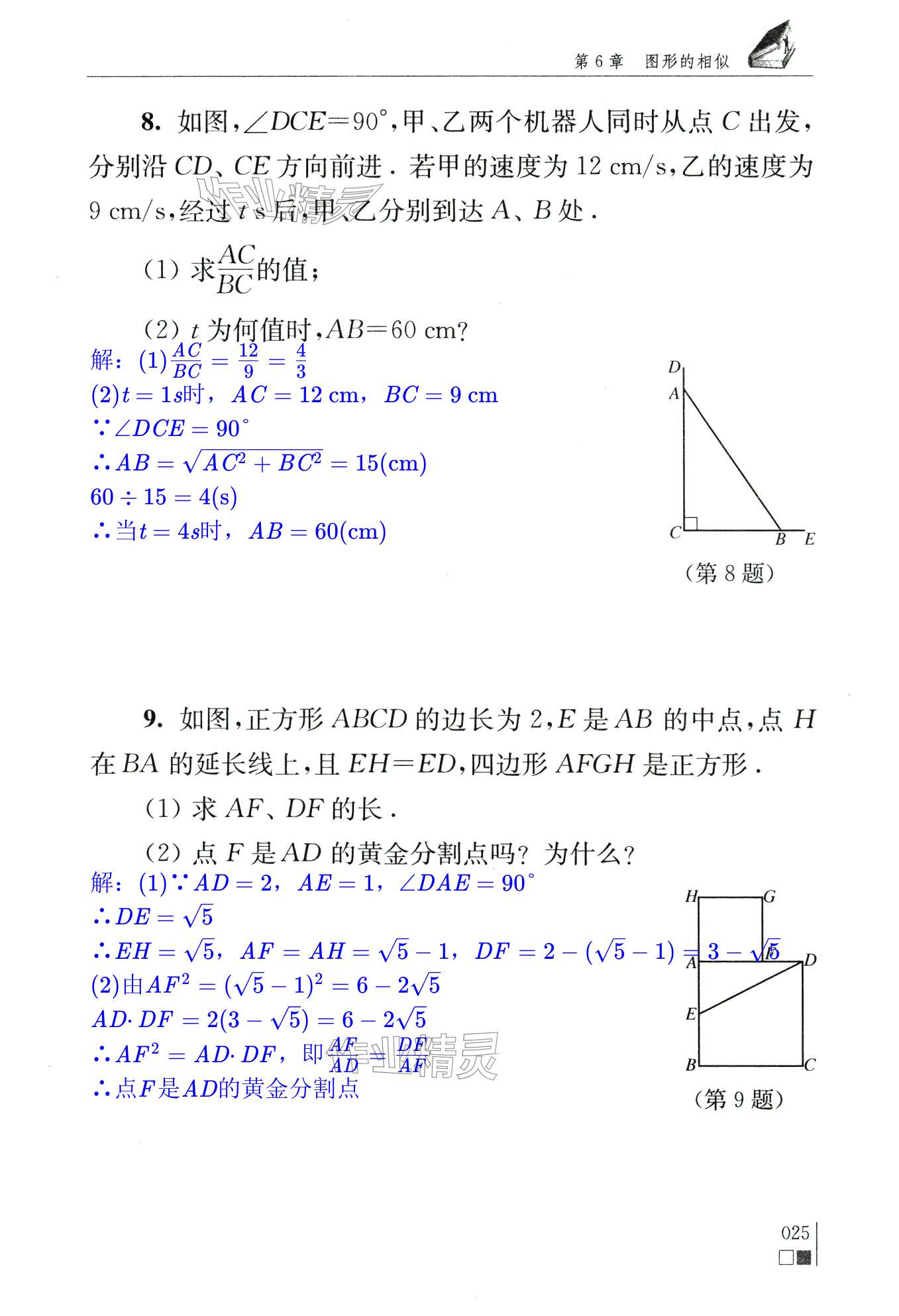 第25頁