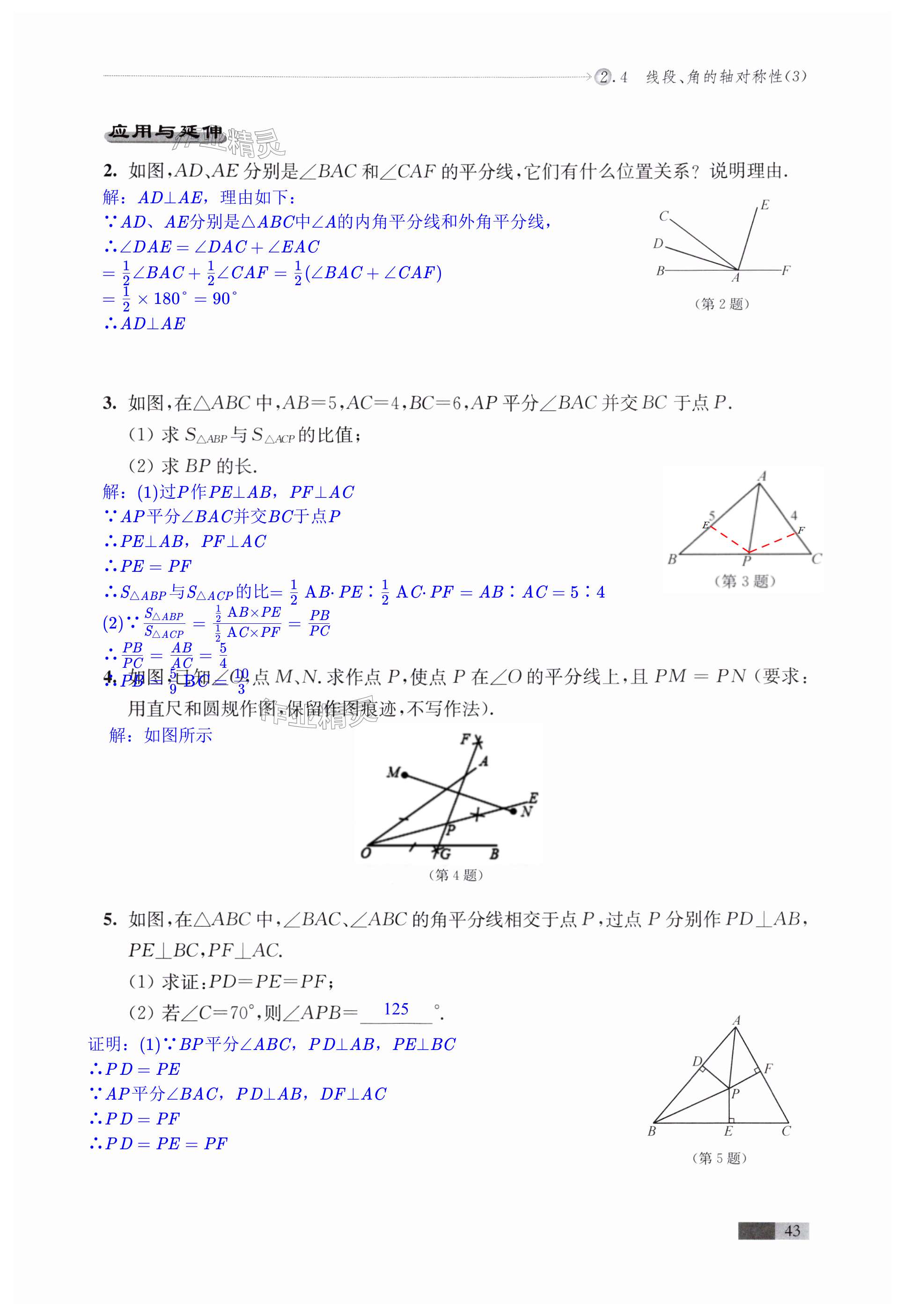 第43頁