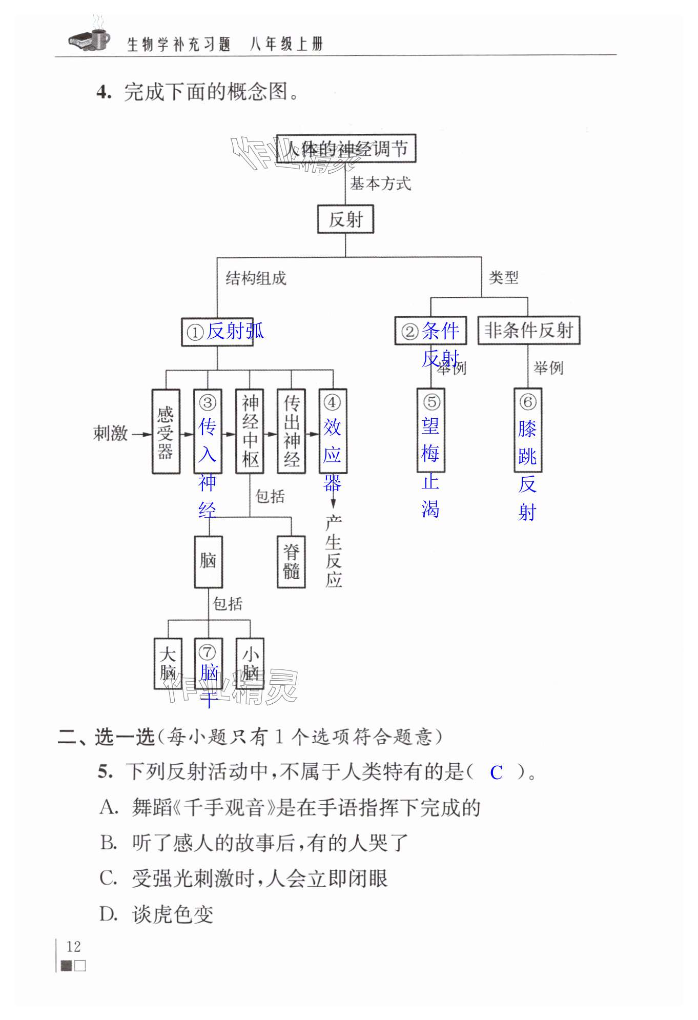 第12頁