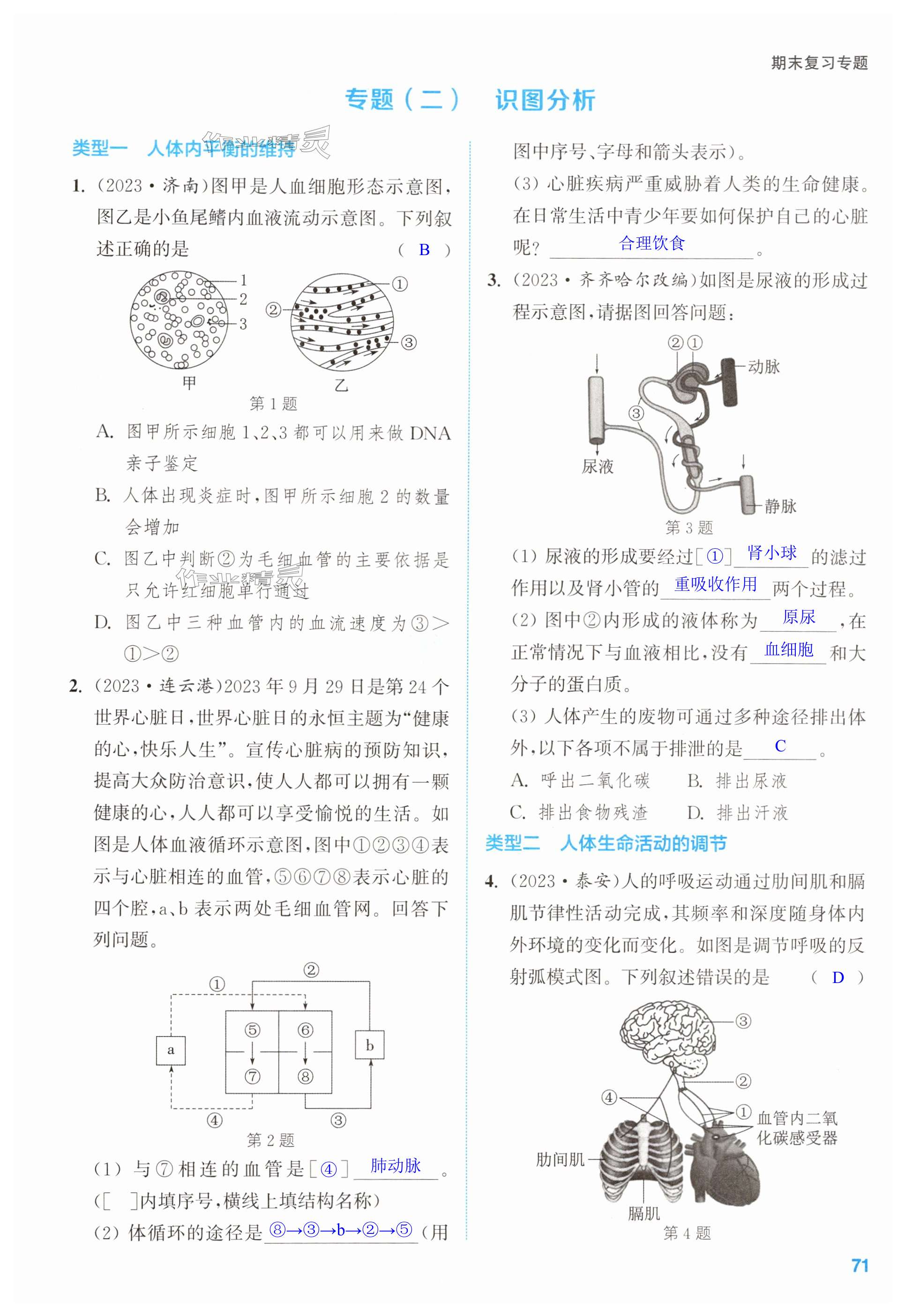 第71頁