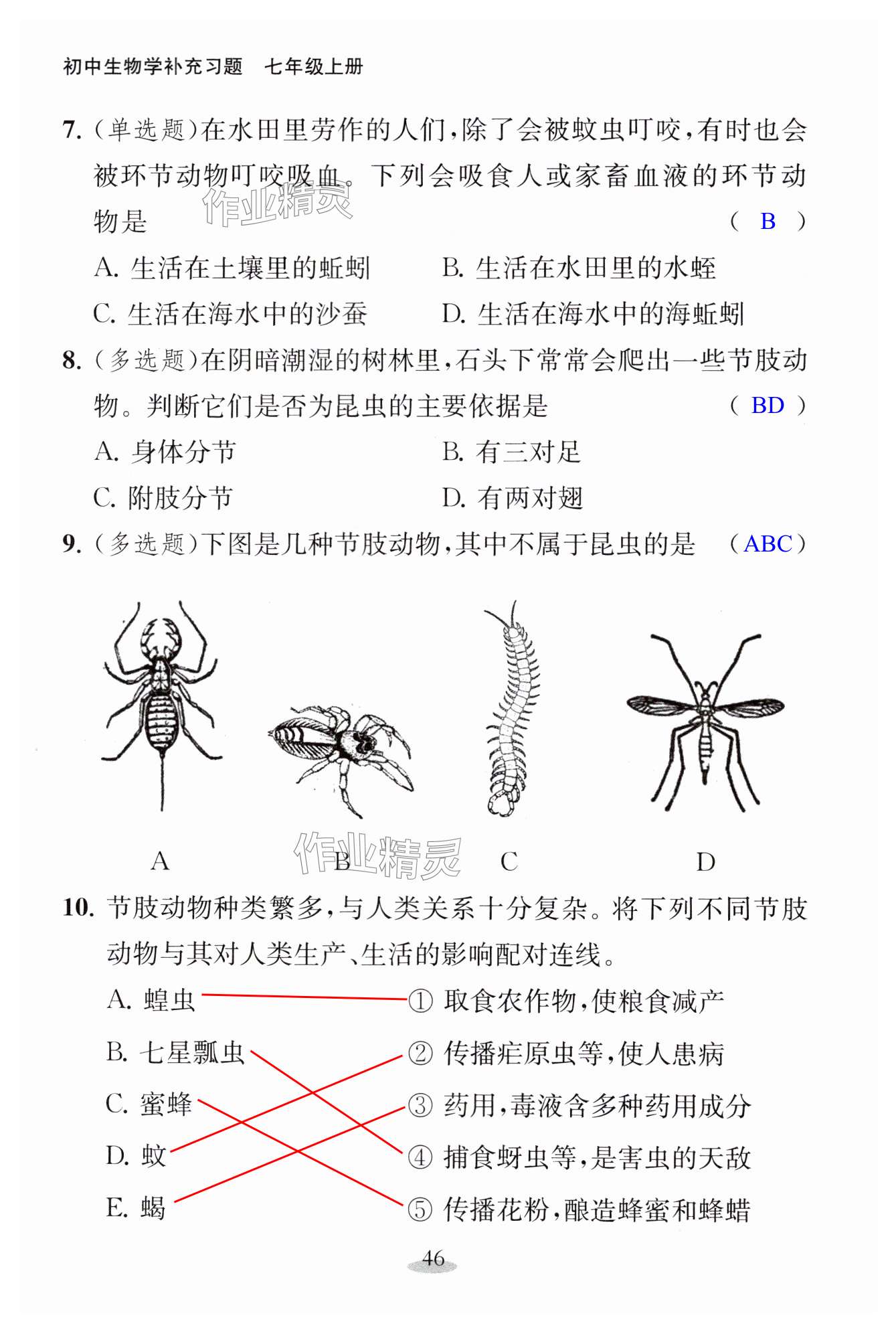 第46頁(yè)