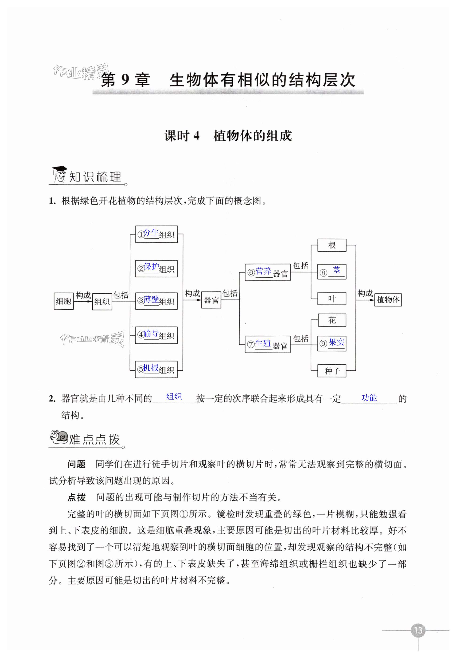 第13頁