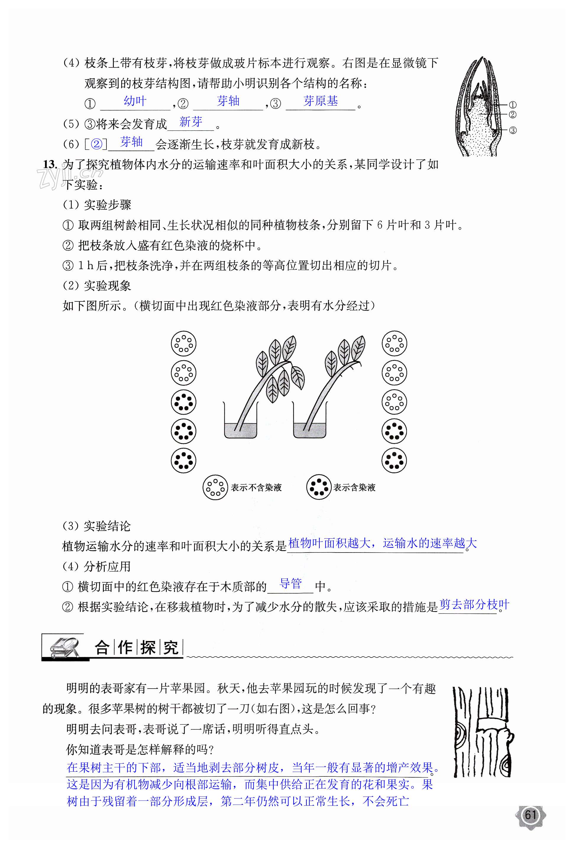 第61頁