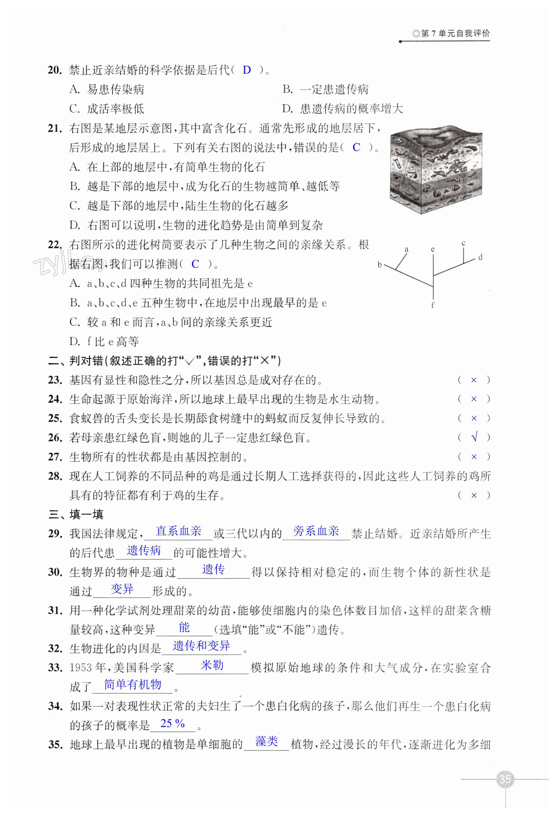 第35頁