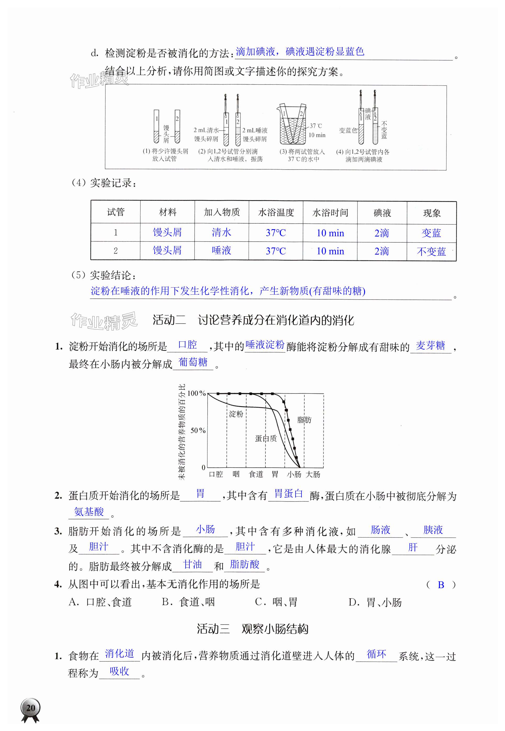 第20頁