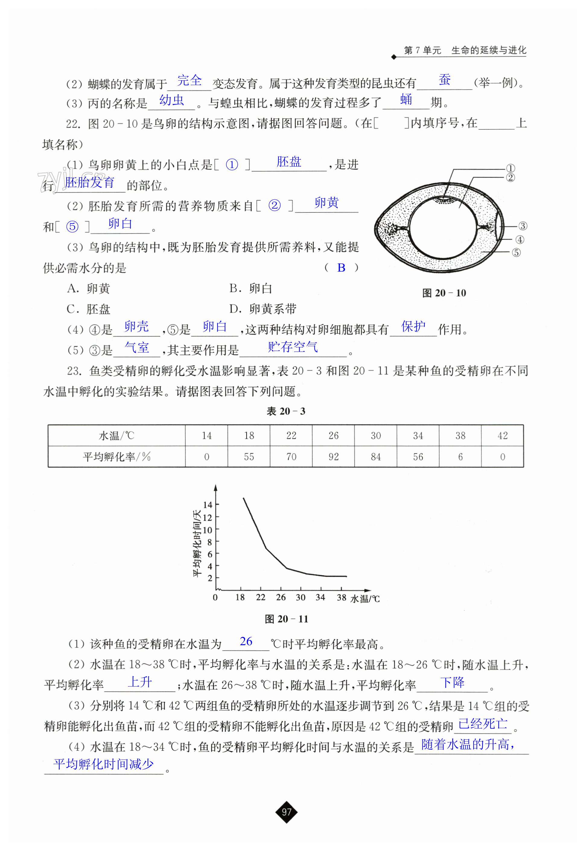 第97頁