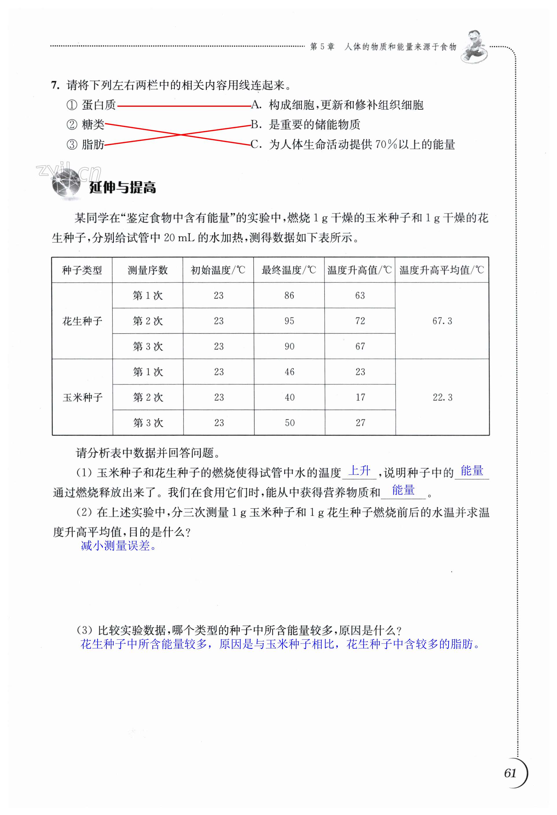 第61頁