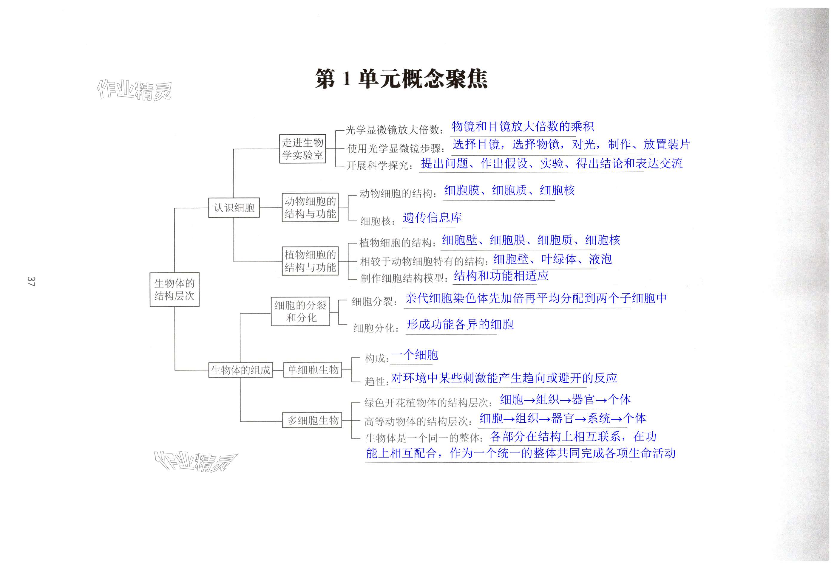 第37頁