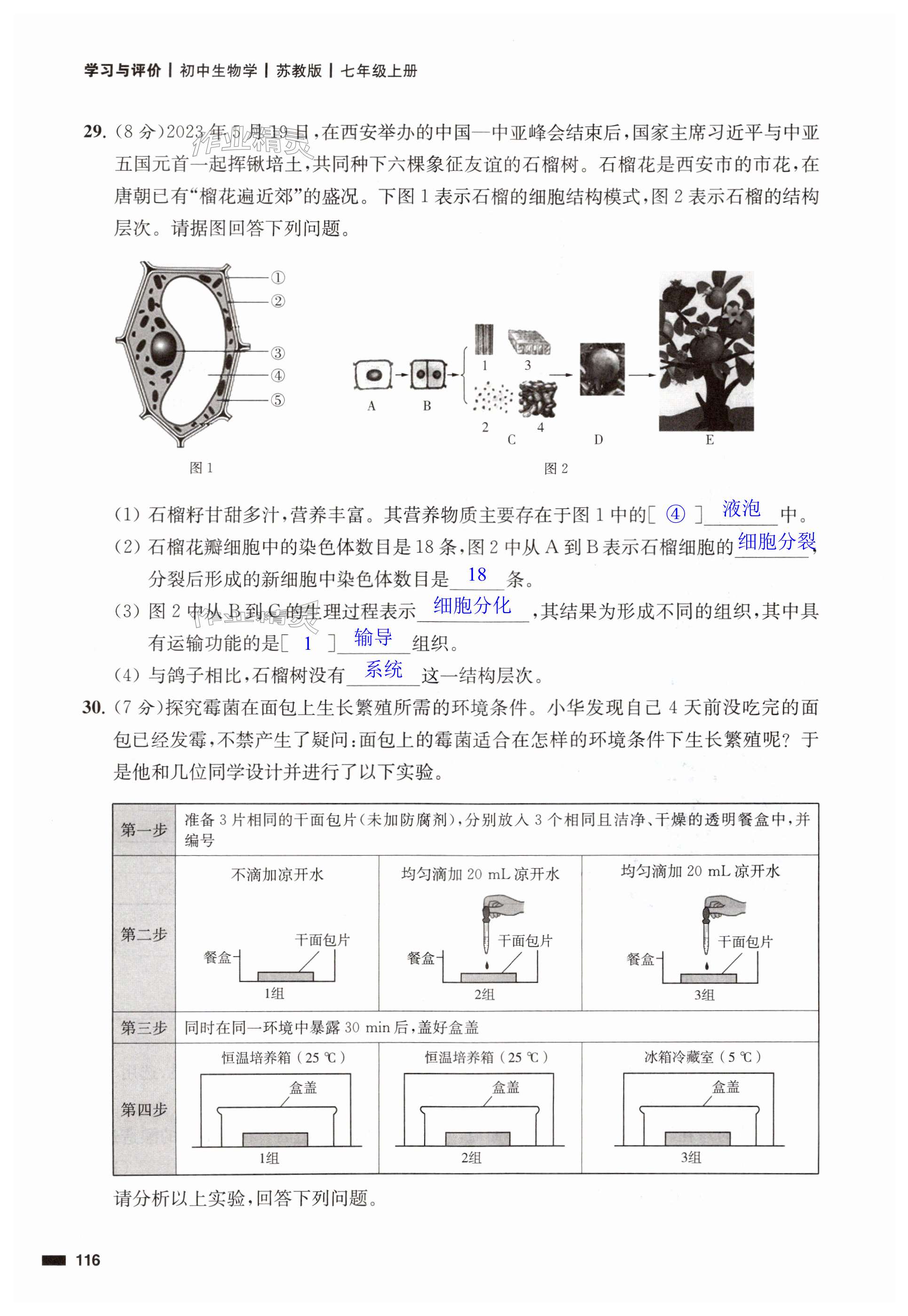 第116頁(yè)