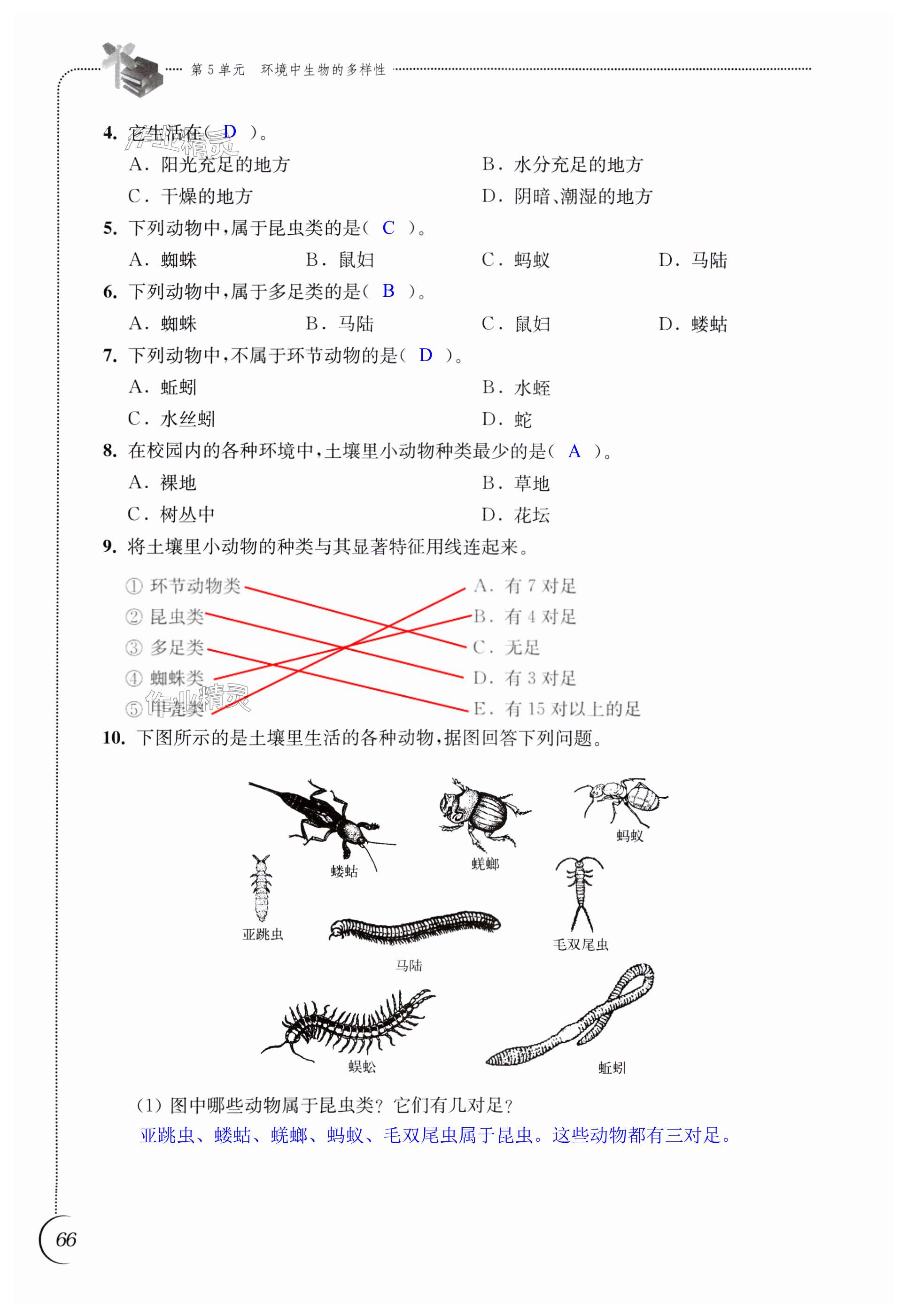 第66頁(yè)