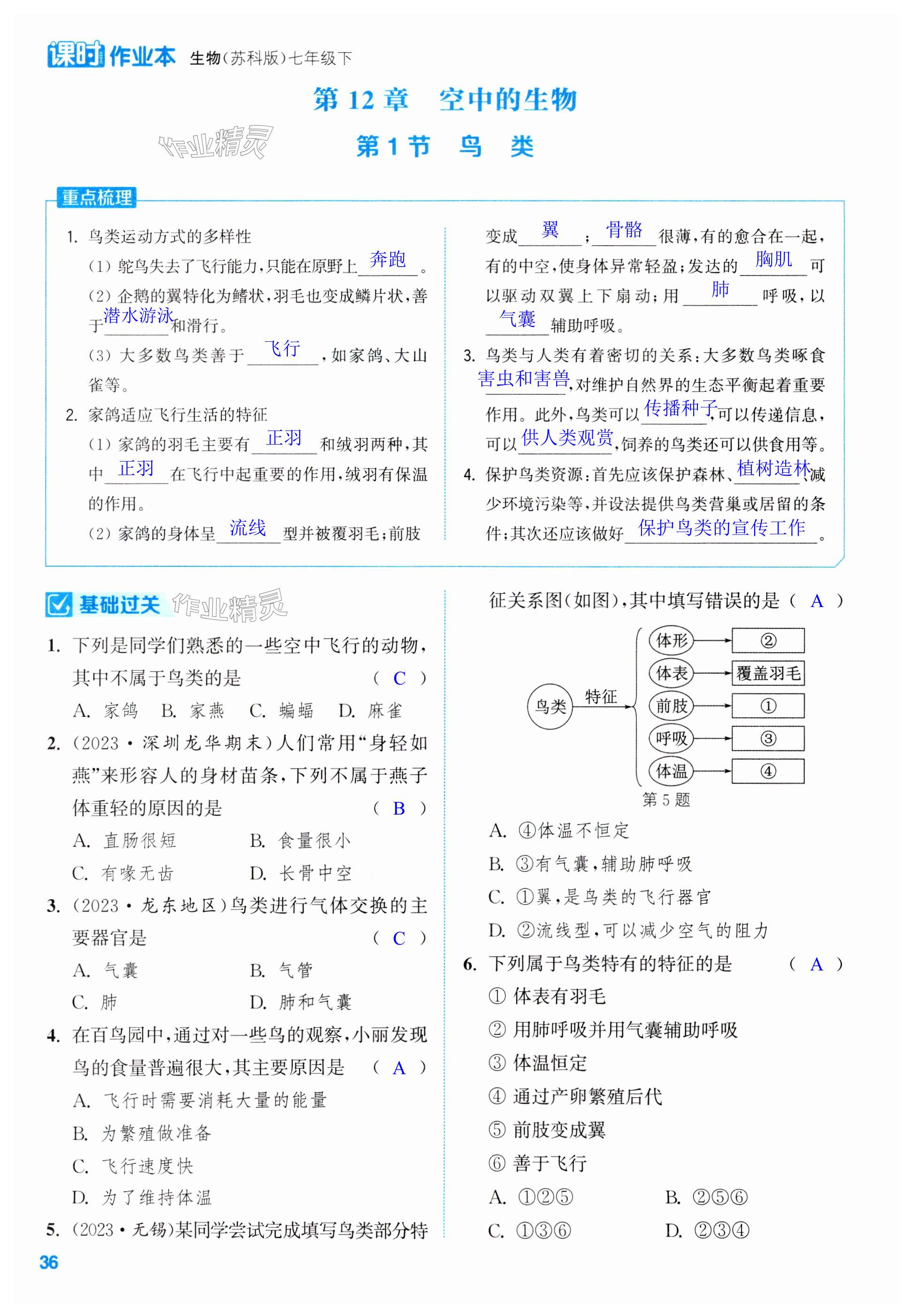 第36頁