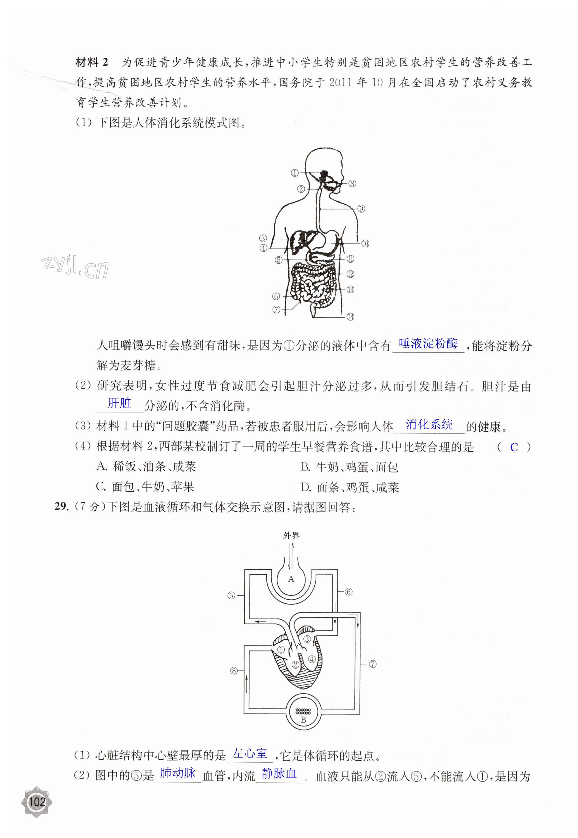 第102页