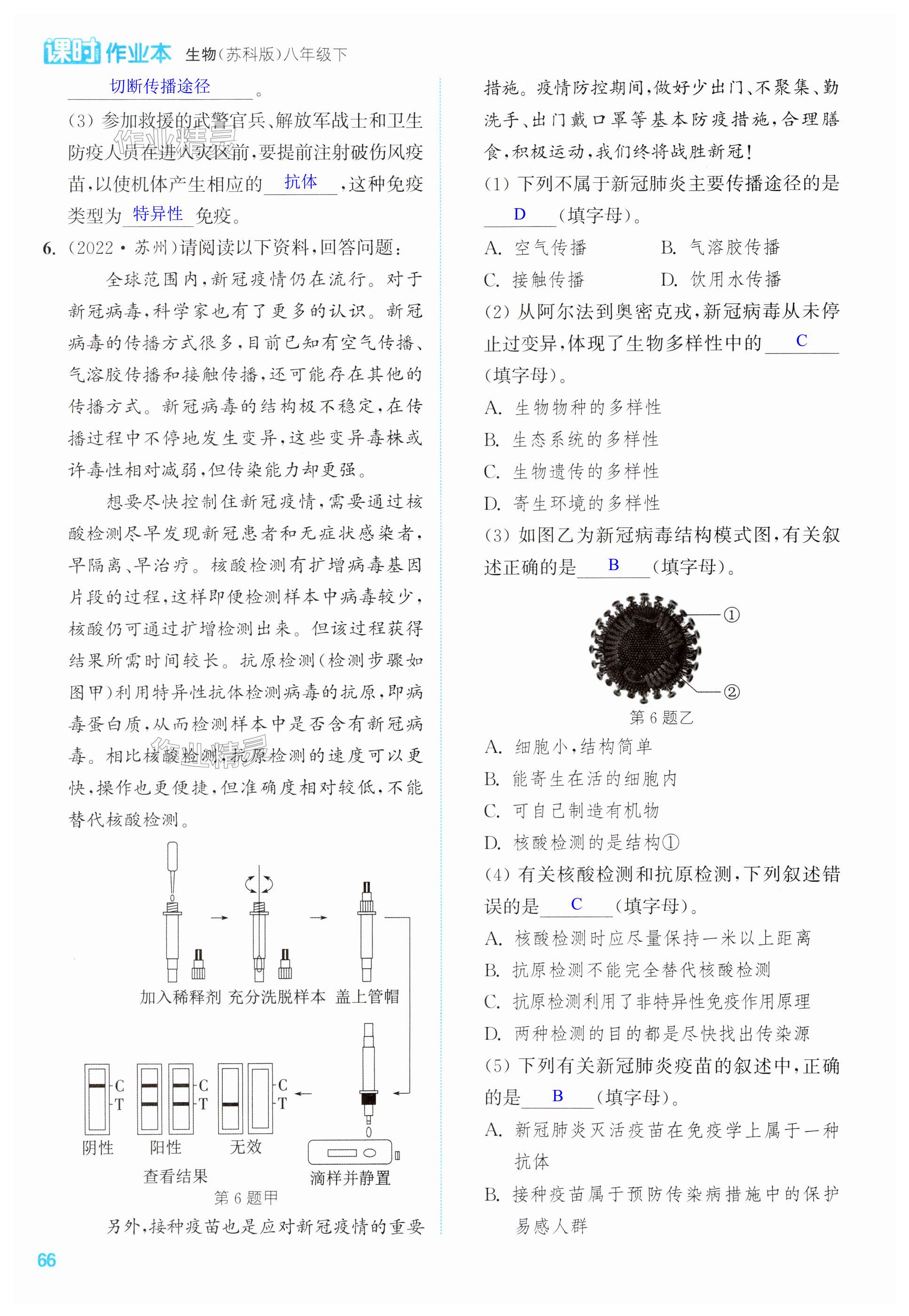 第66頁