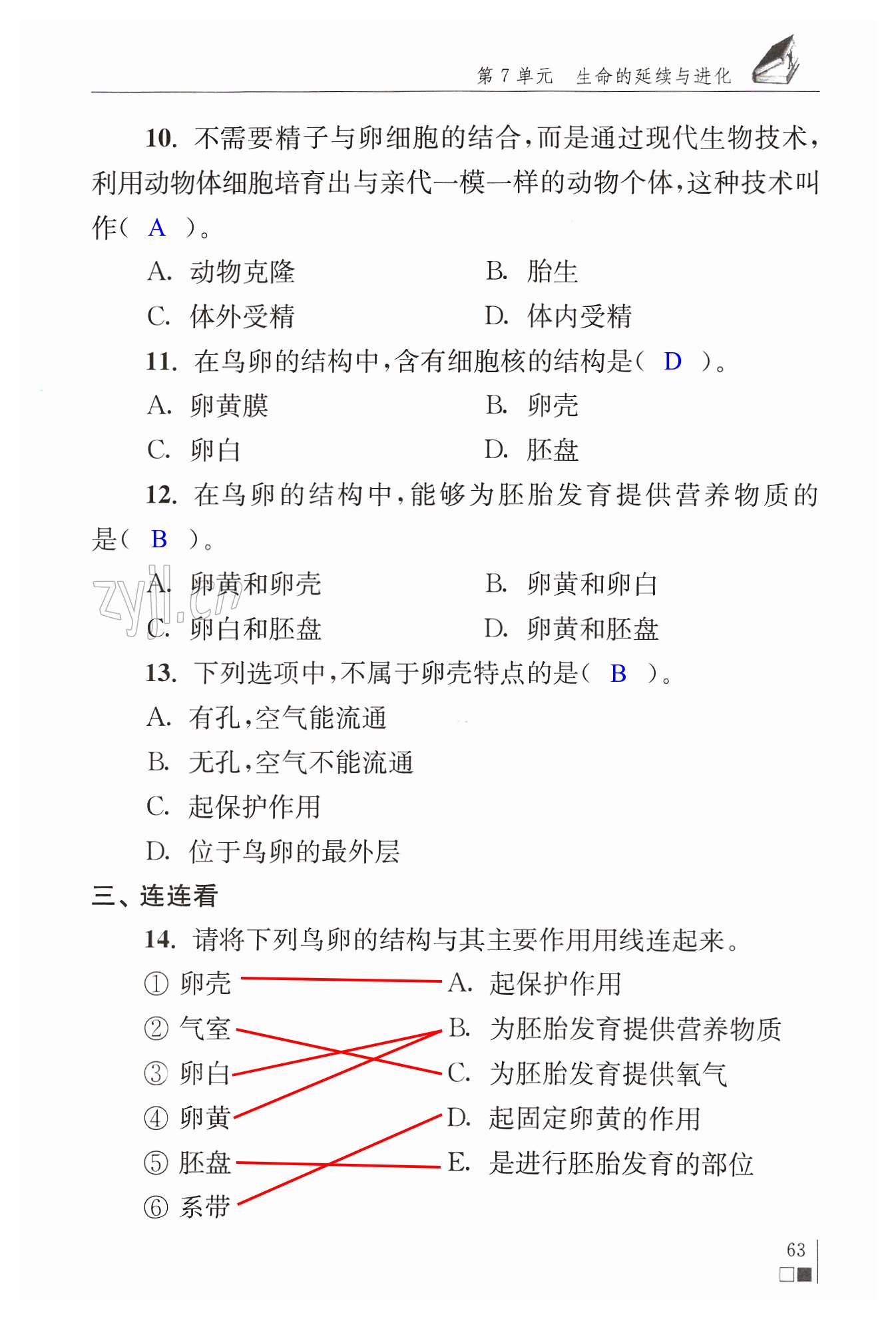 第63頁