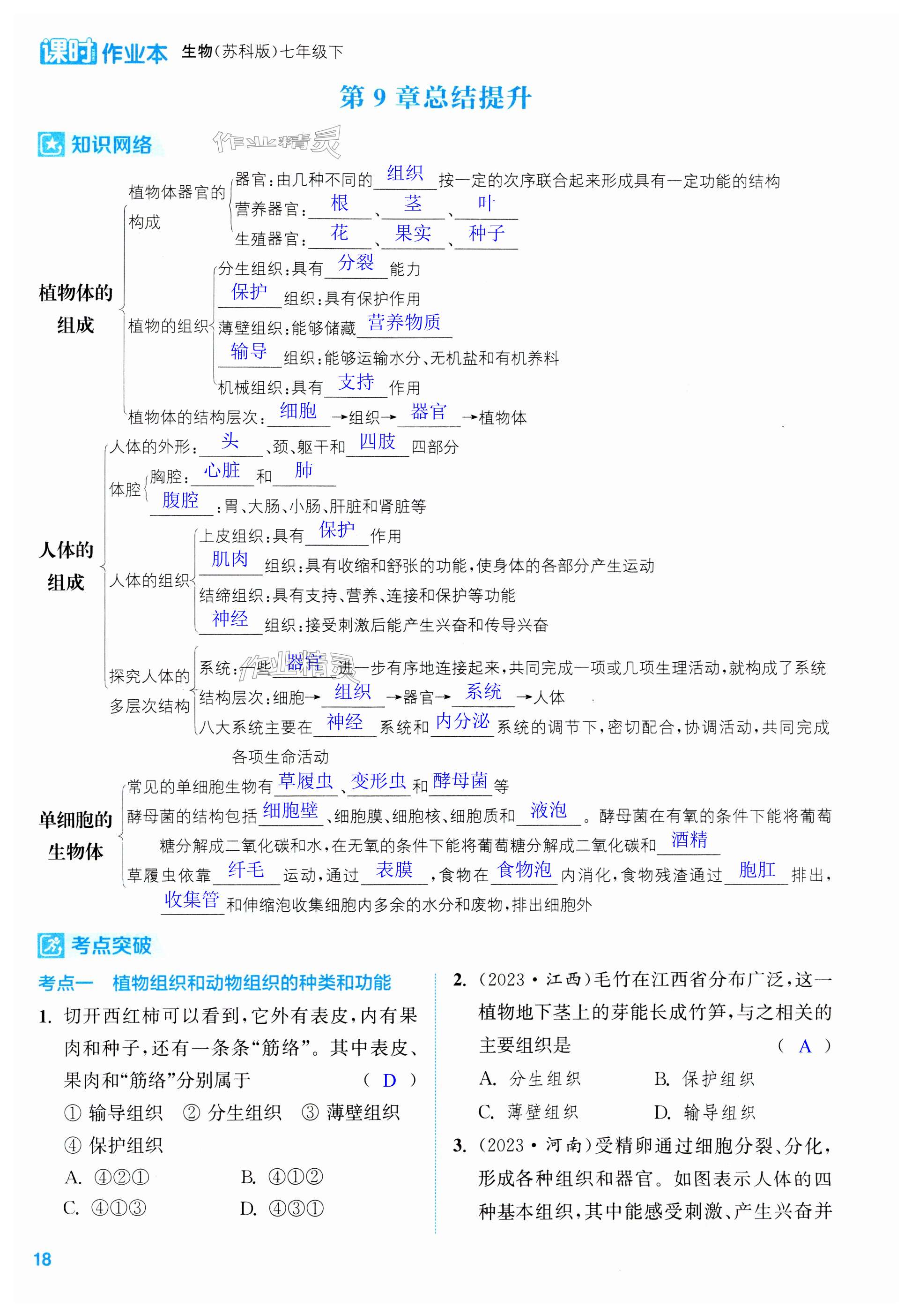 第18頁