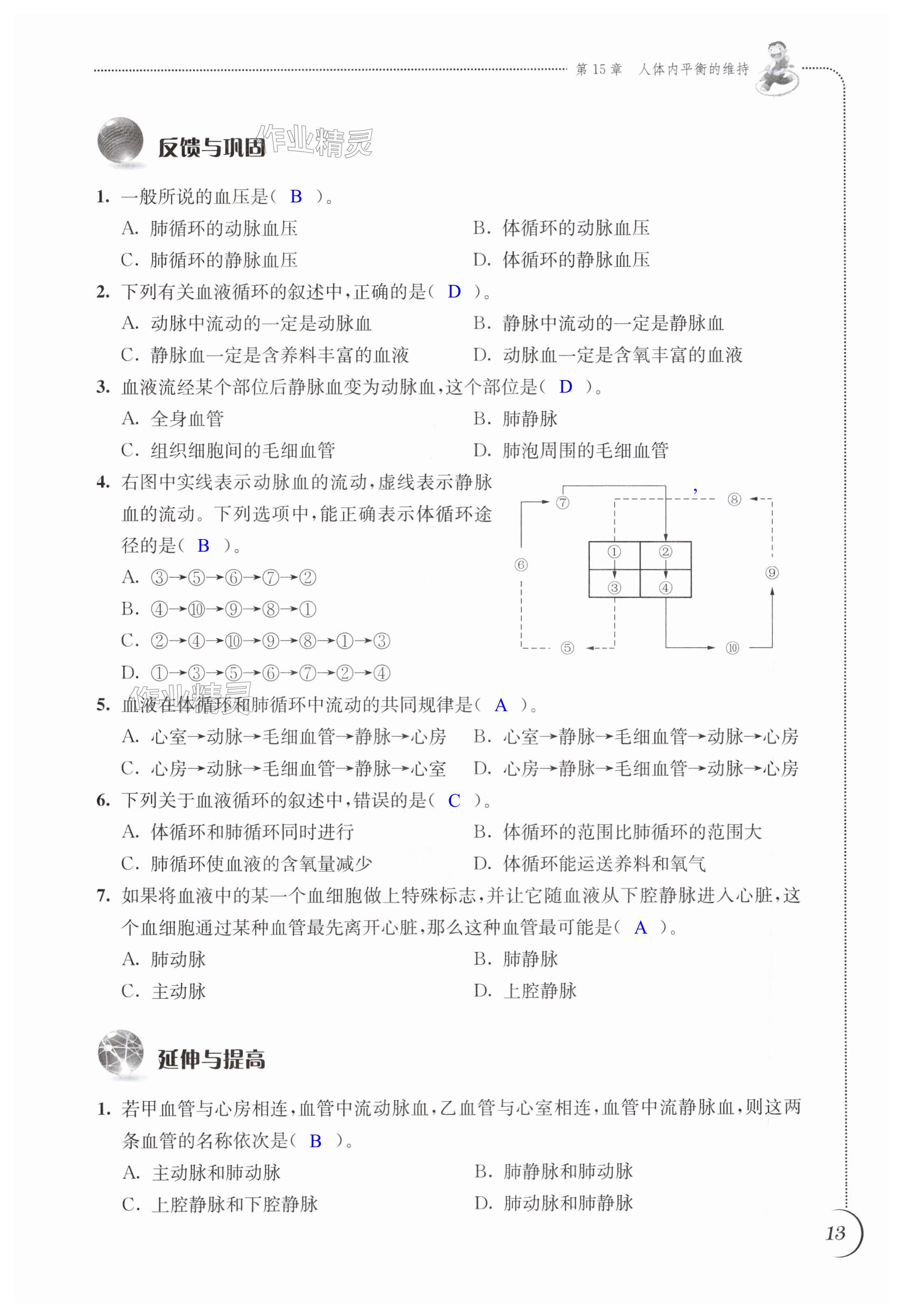 第13頁(yè)