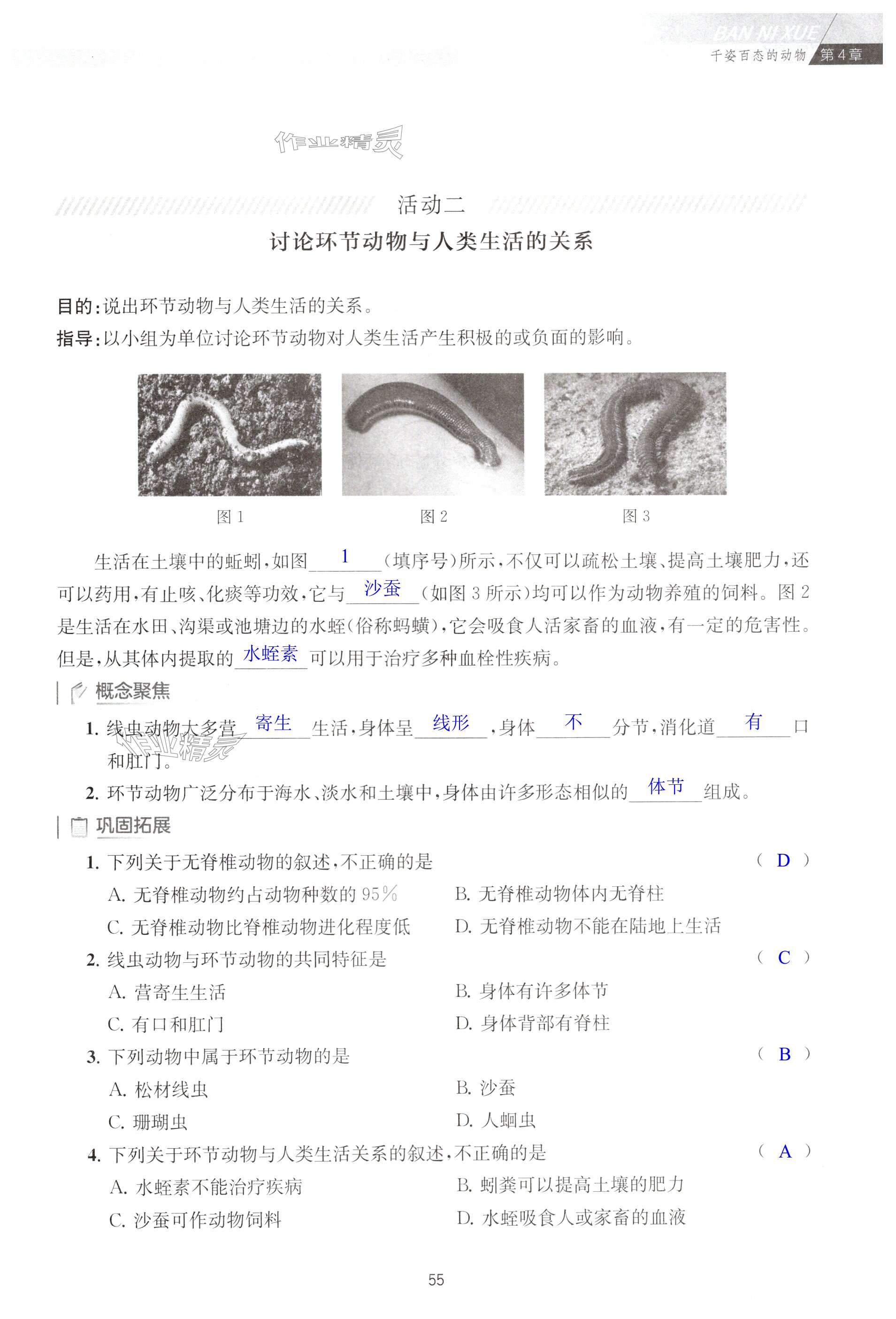 第55頁