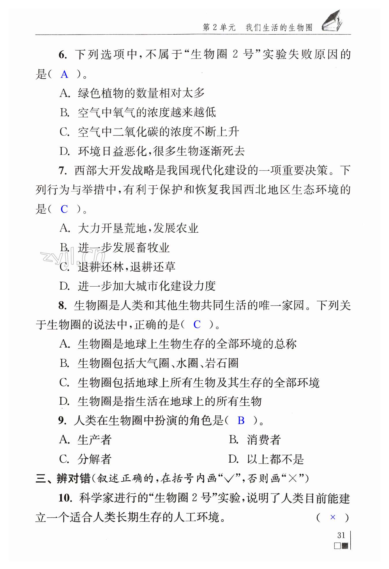 第31页