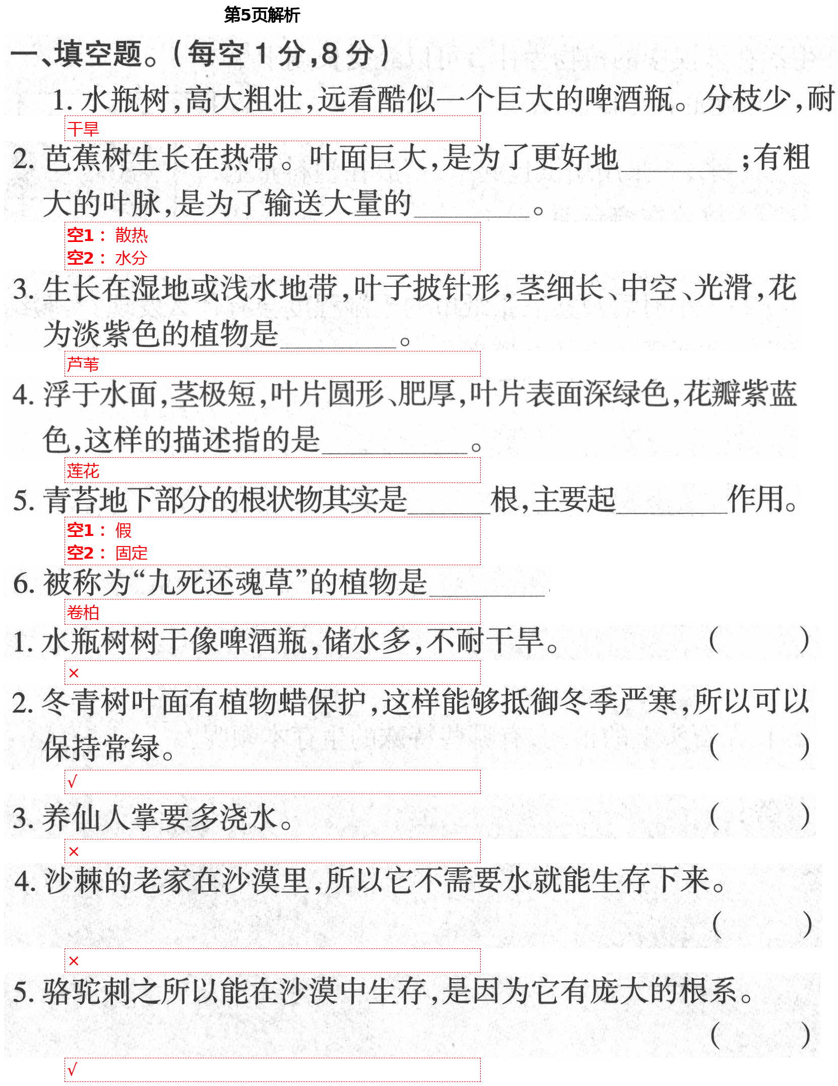 2021年學(xué)生課程精巧訓(xùn)練三年級科學(xué)下冊蘇教版 第5頁