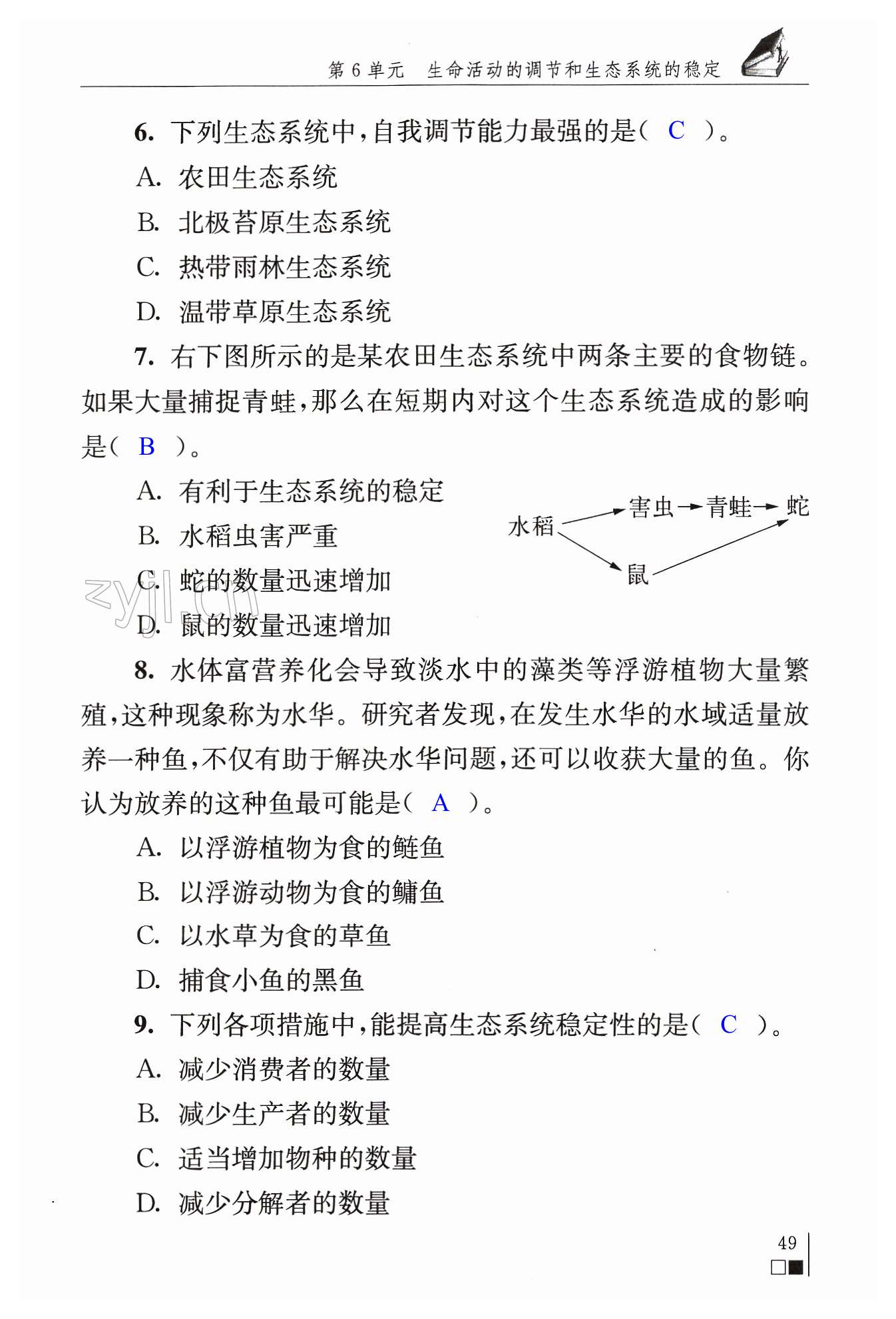 第49頁