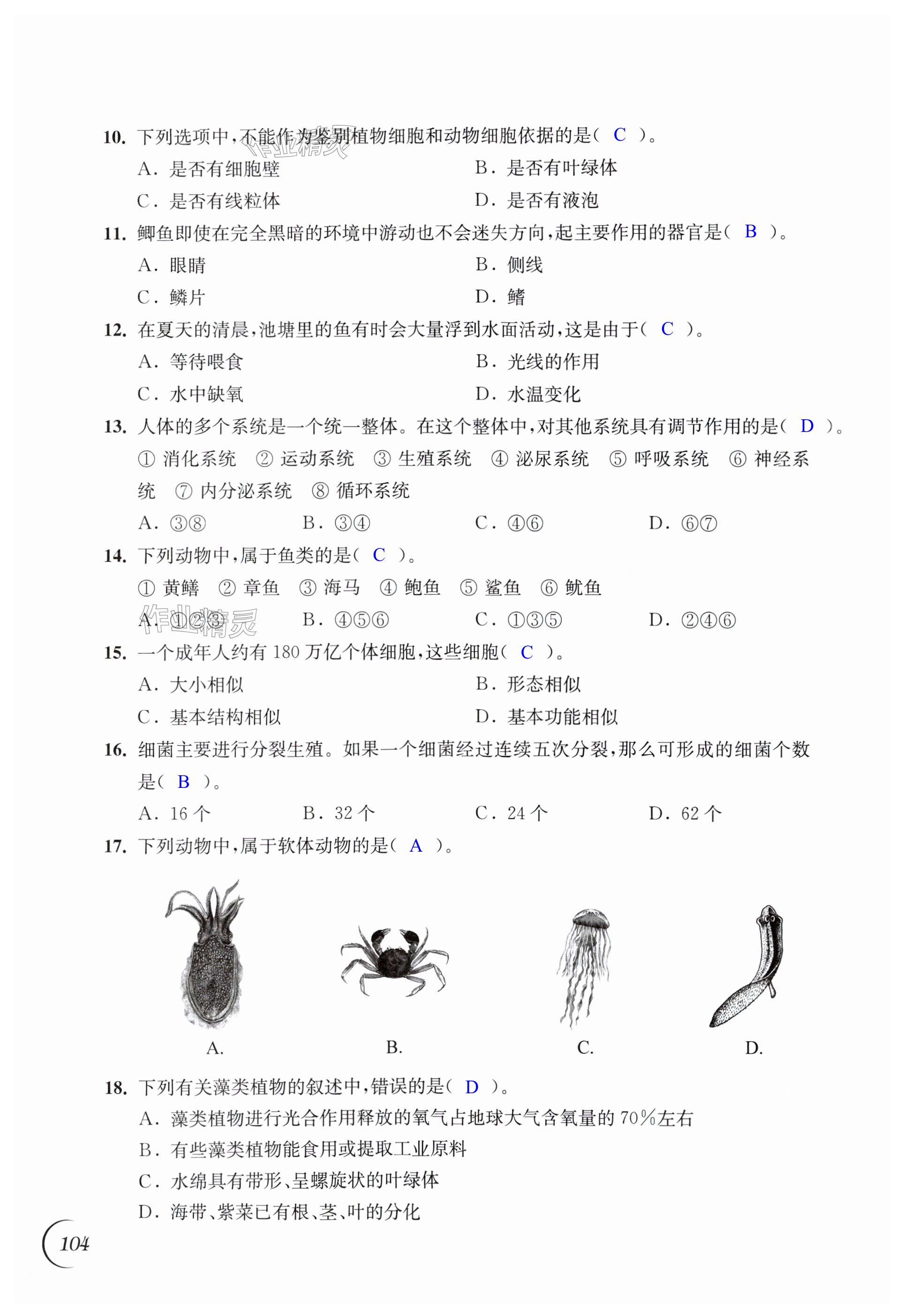 第104頁