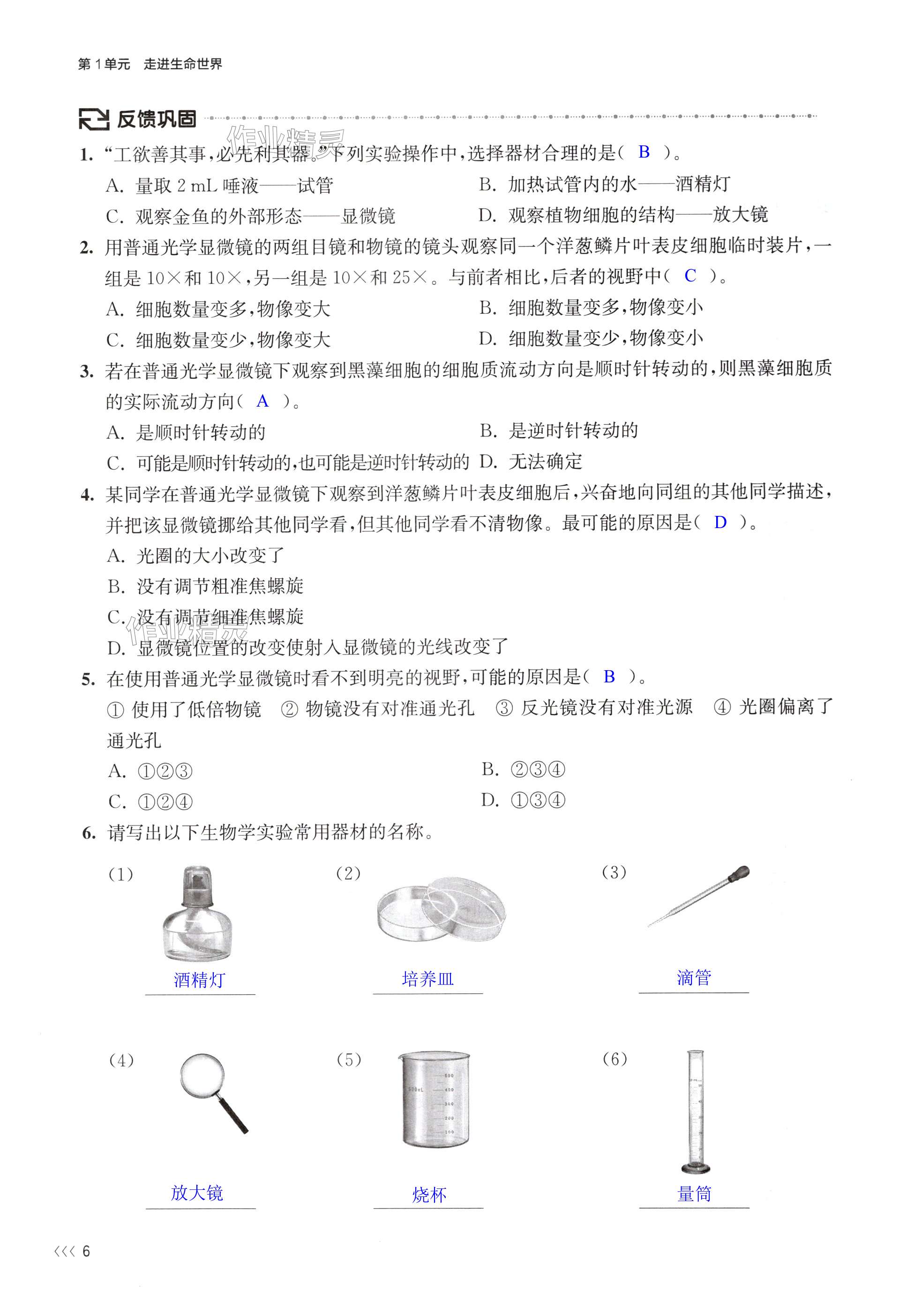 第6頁