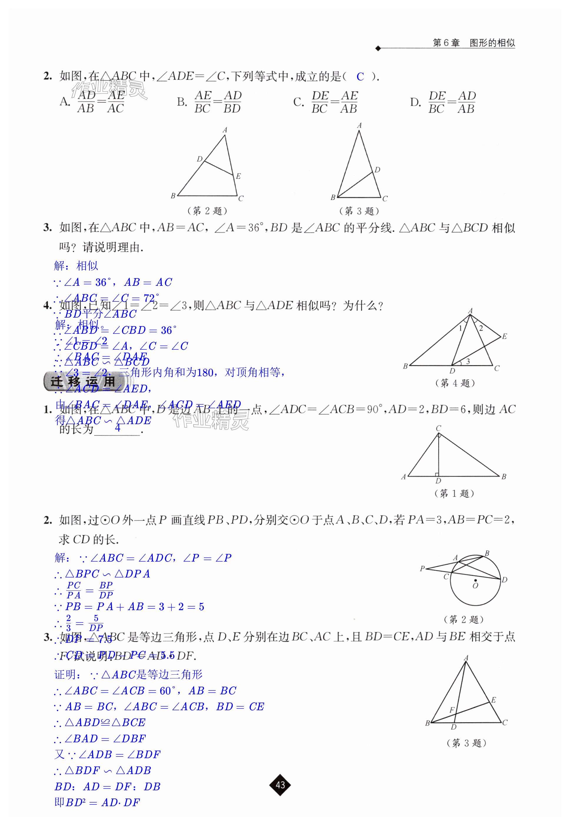 第43頁